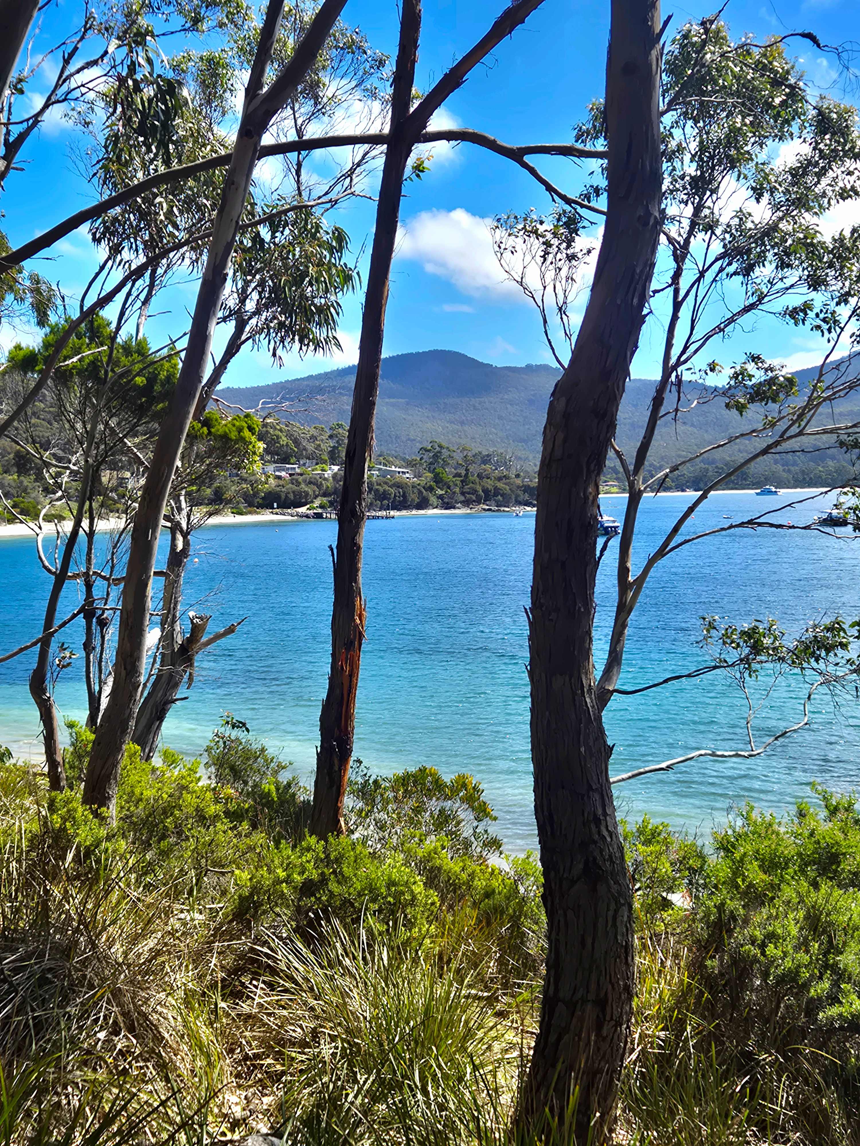 Woodleigh - where beach meets bush