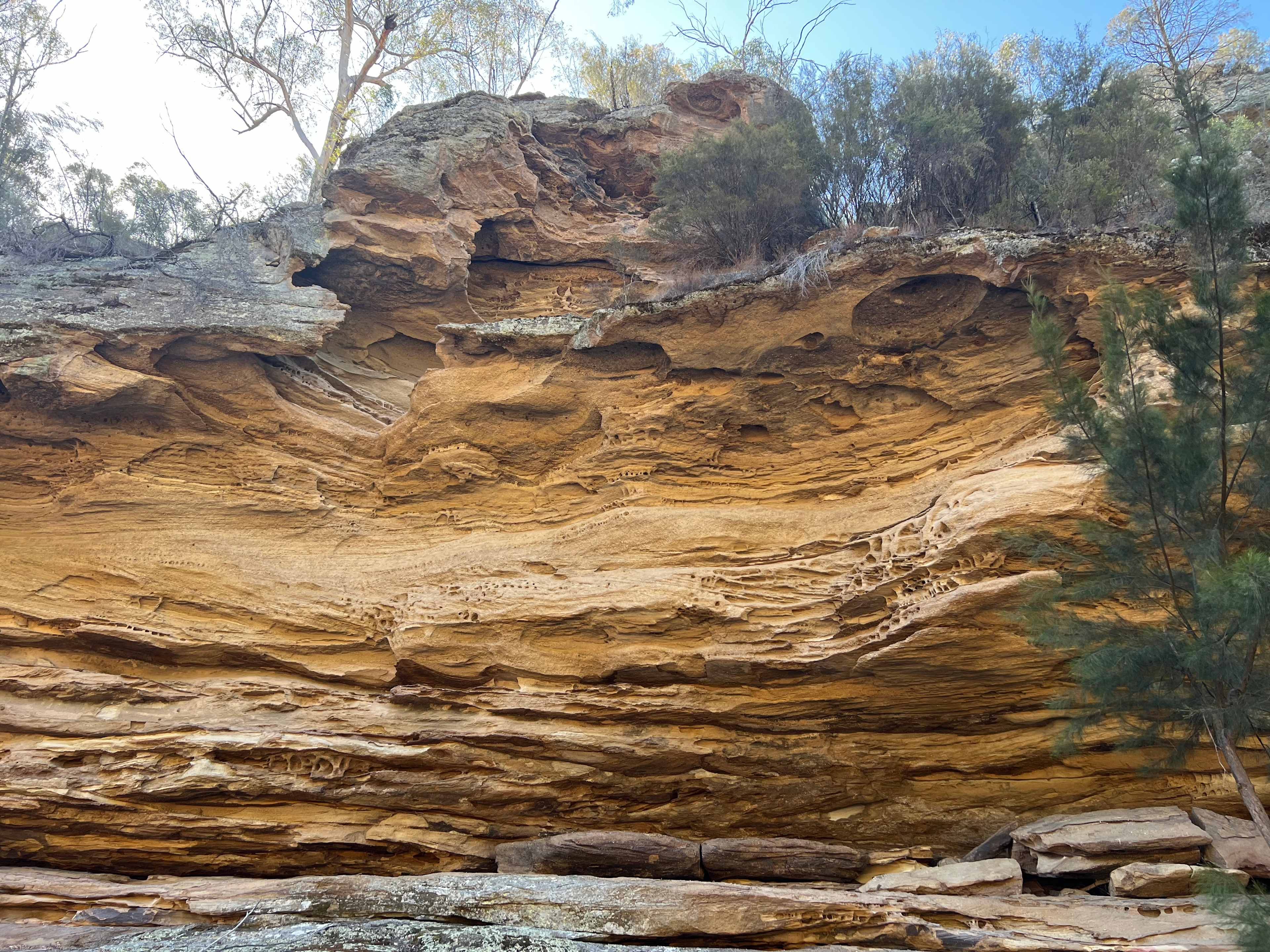 Hillside Camp on Bow River