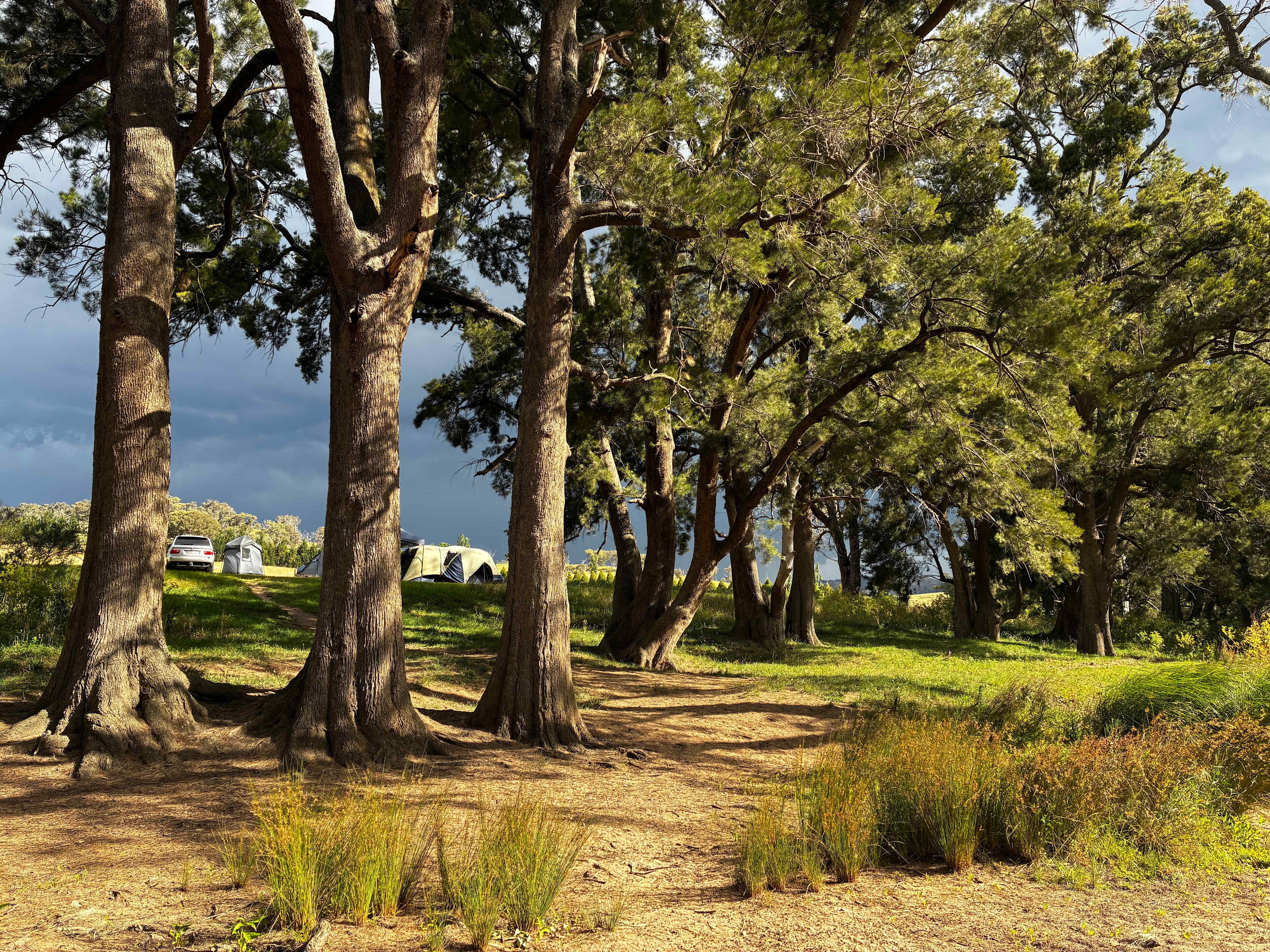 Path from the river to our camp site