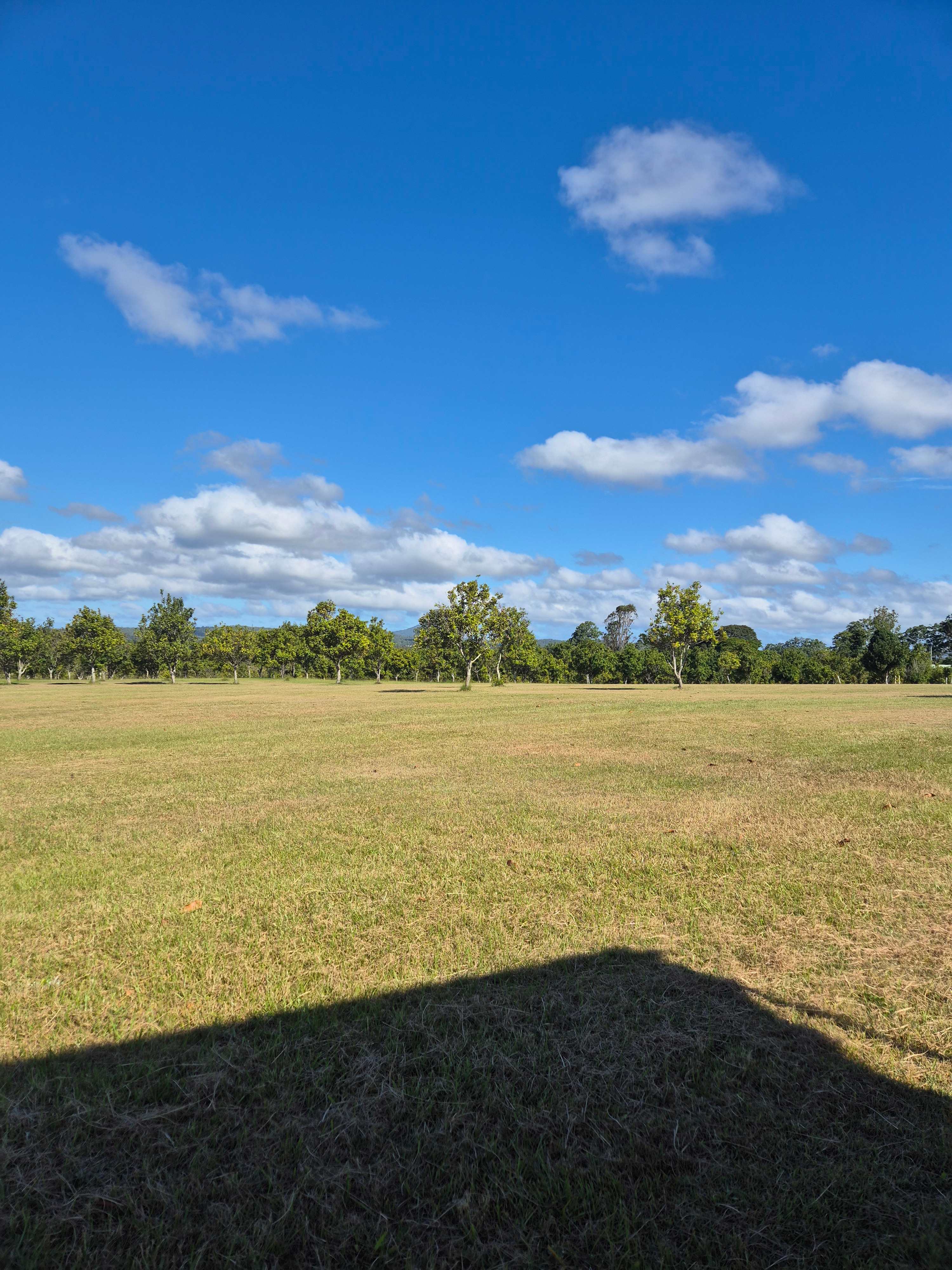 Cambridge Park Macca's