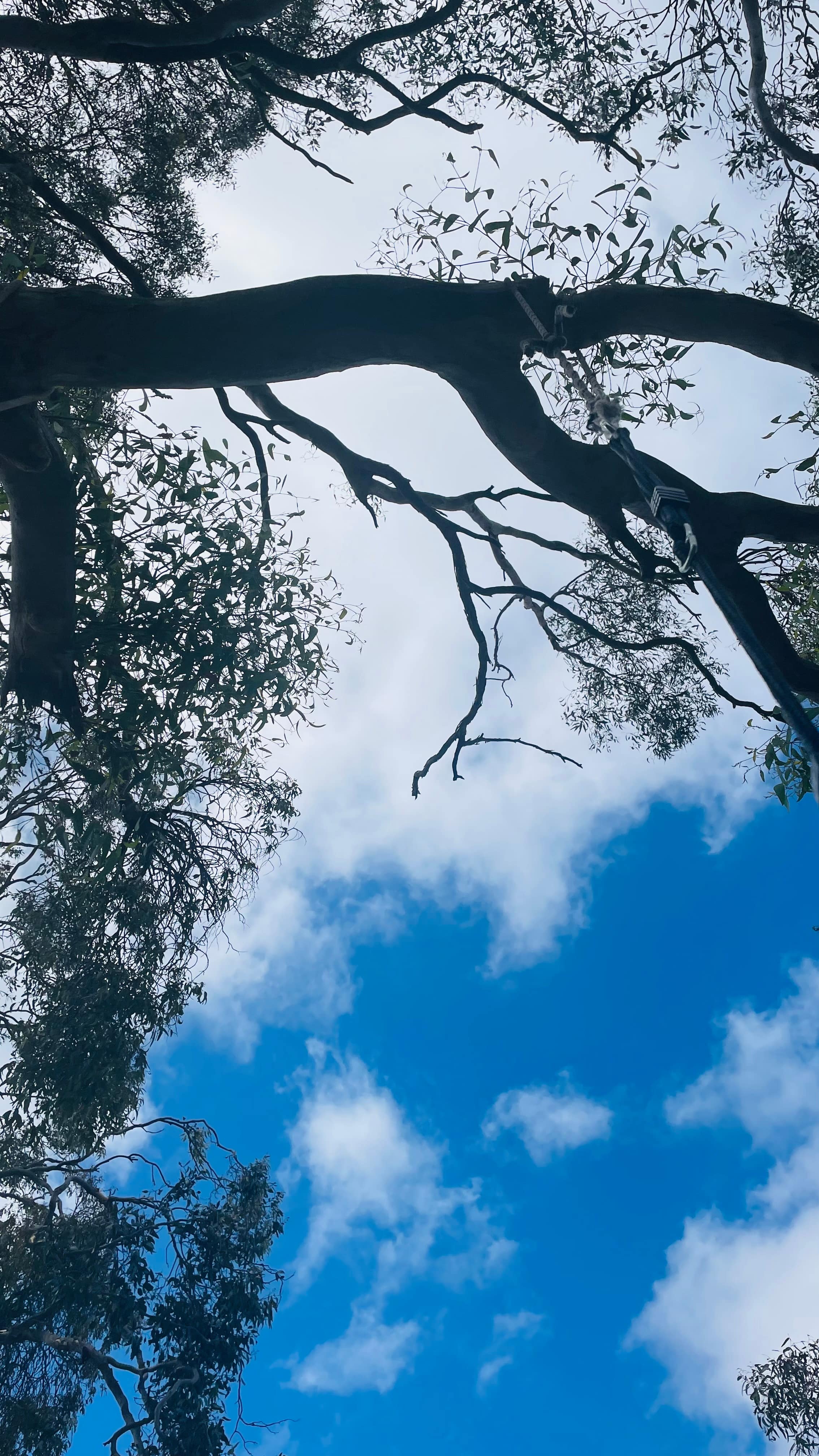 The Scrub Campsite - Inman Valley