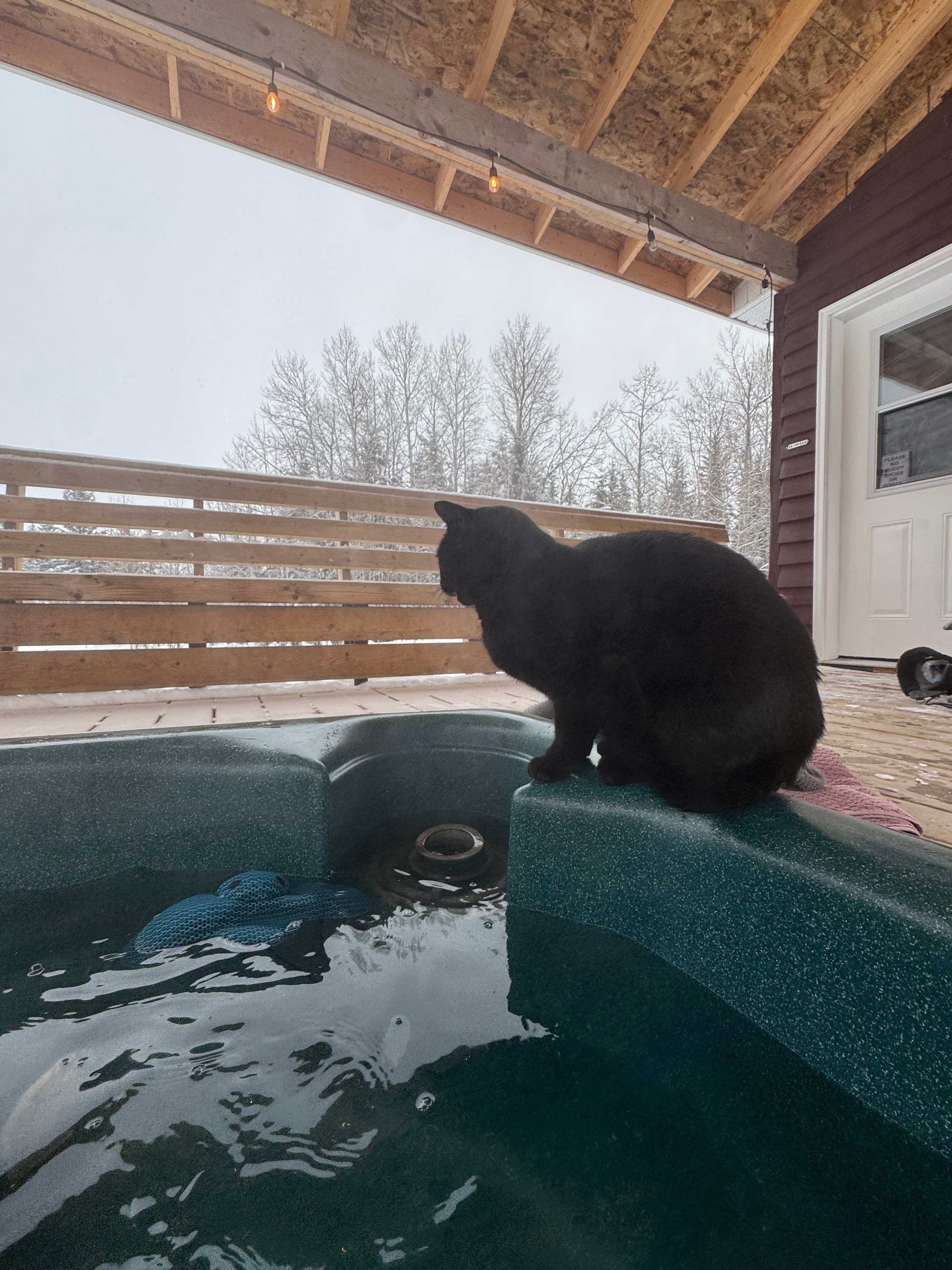 Nature Alive Adventures and Camping