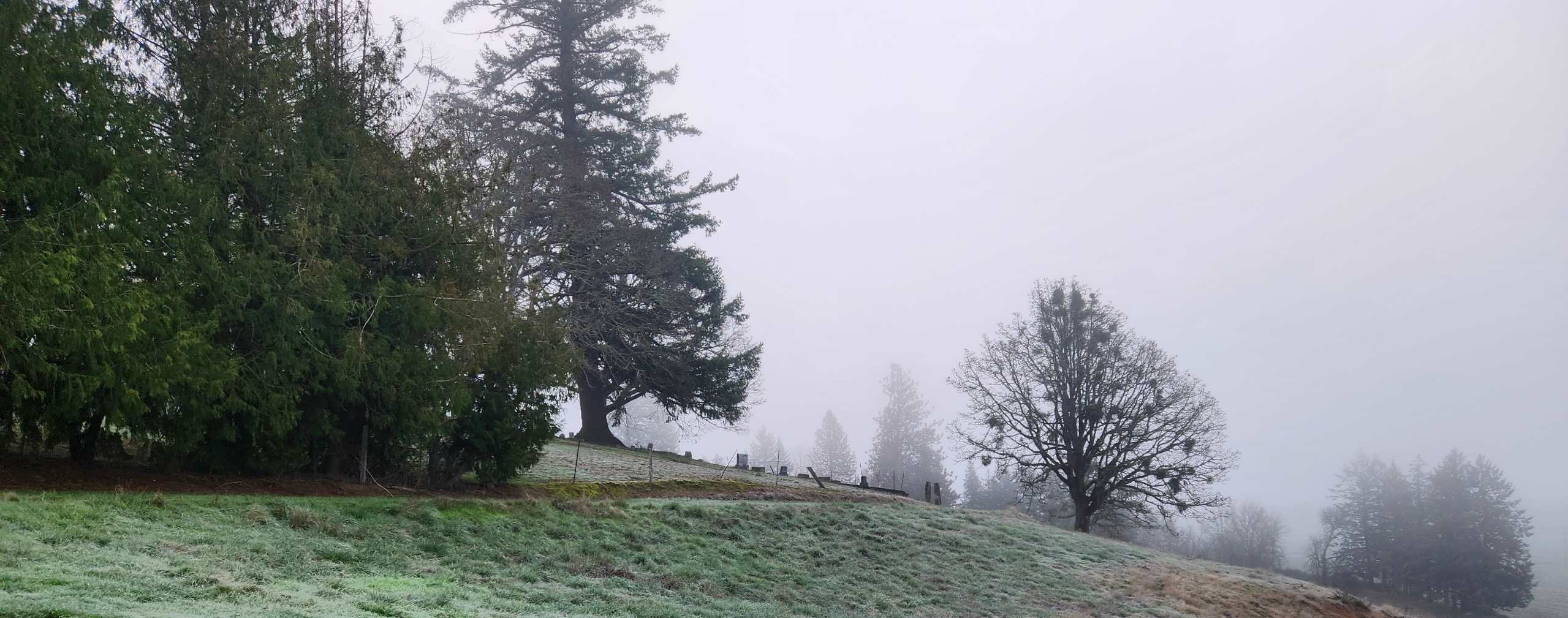 Brownsville Hillside RV Site