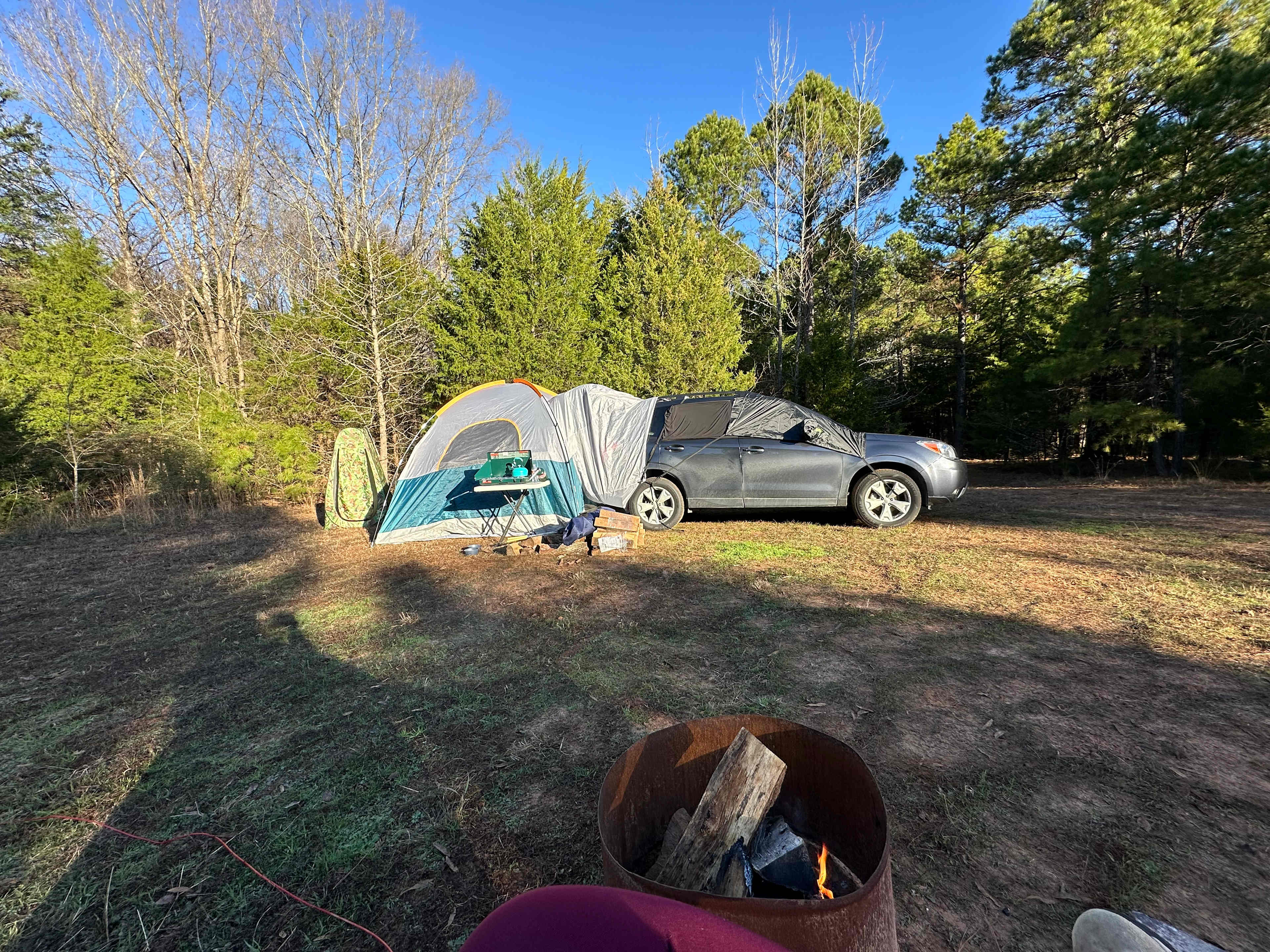 BlackBerryPines Disc & Camp