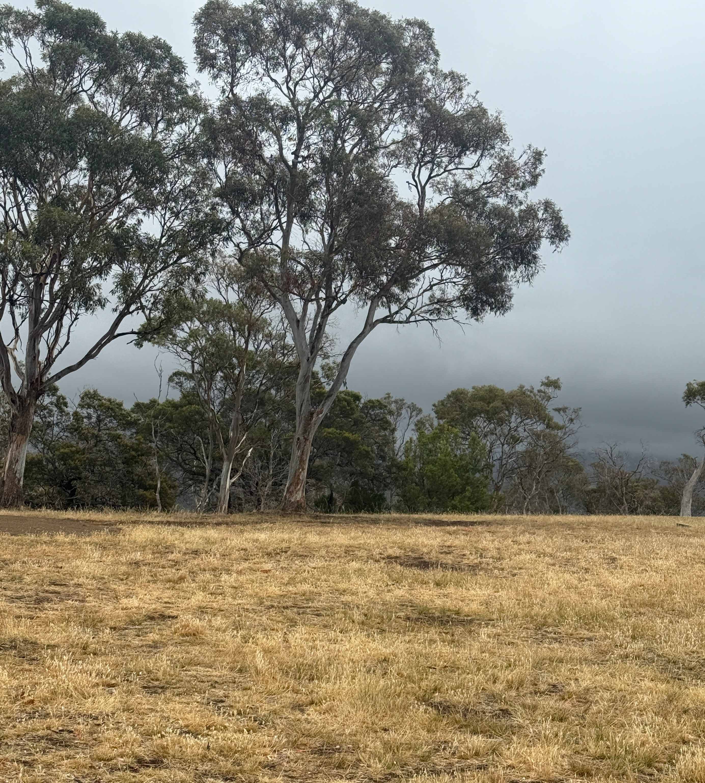 Prossers Ridge Richmond