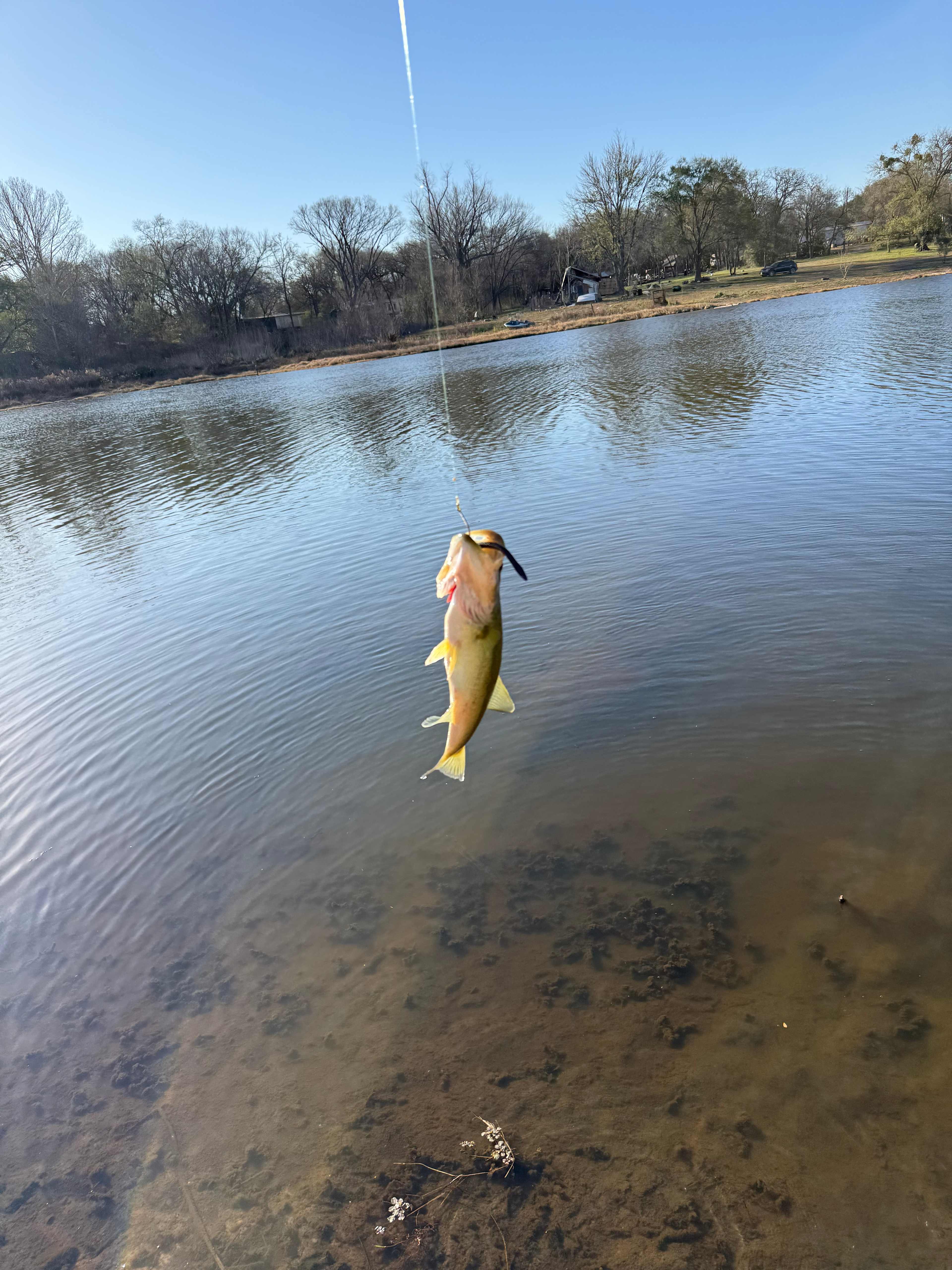 CAMP JOY - RV / TENTS CALDWELL, TX
