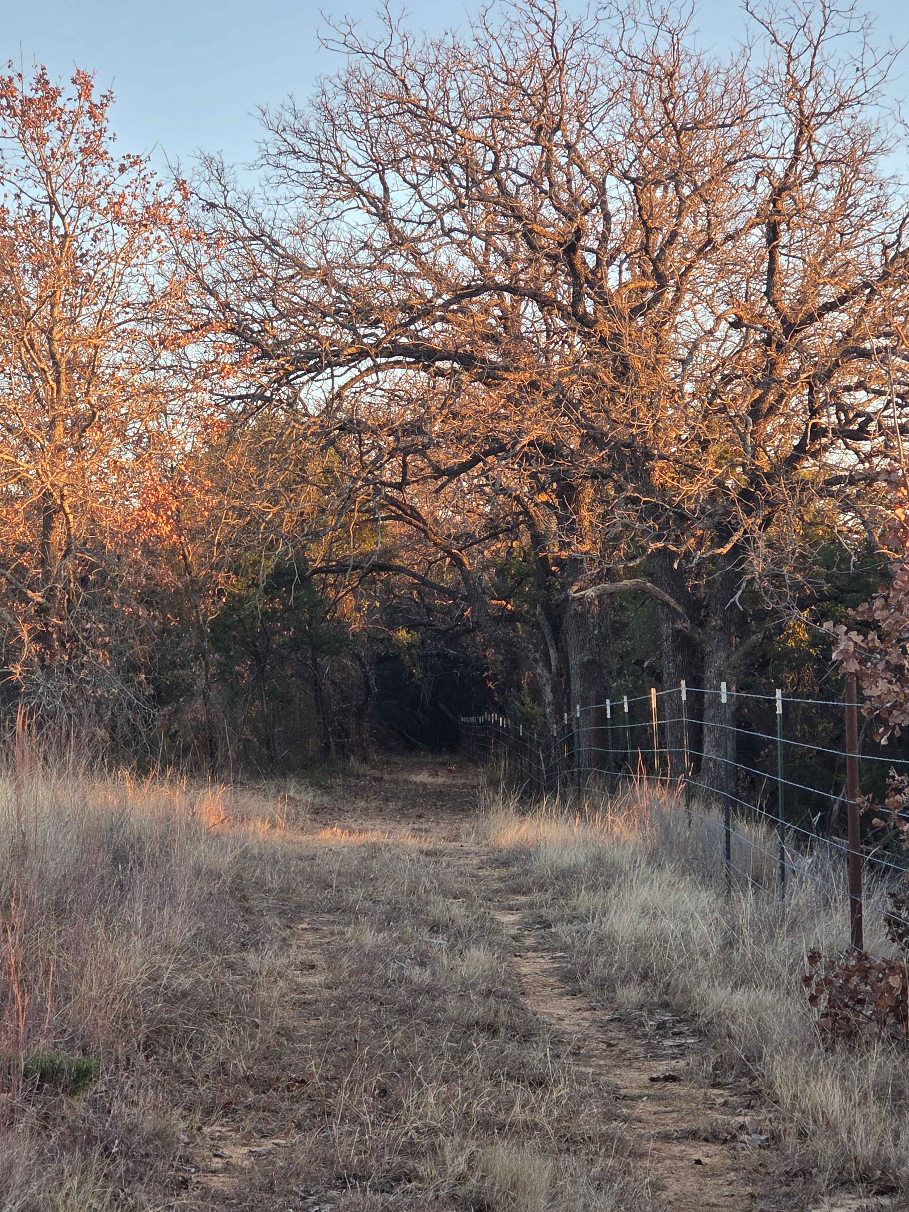 The Hideaway Ranch and Refuge