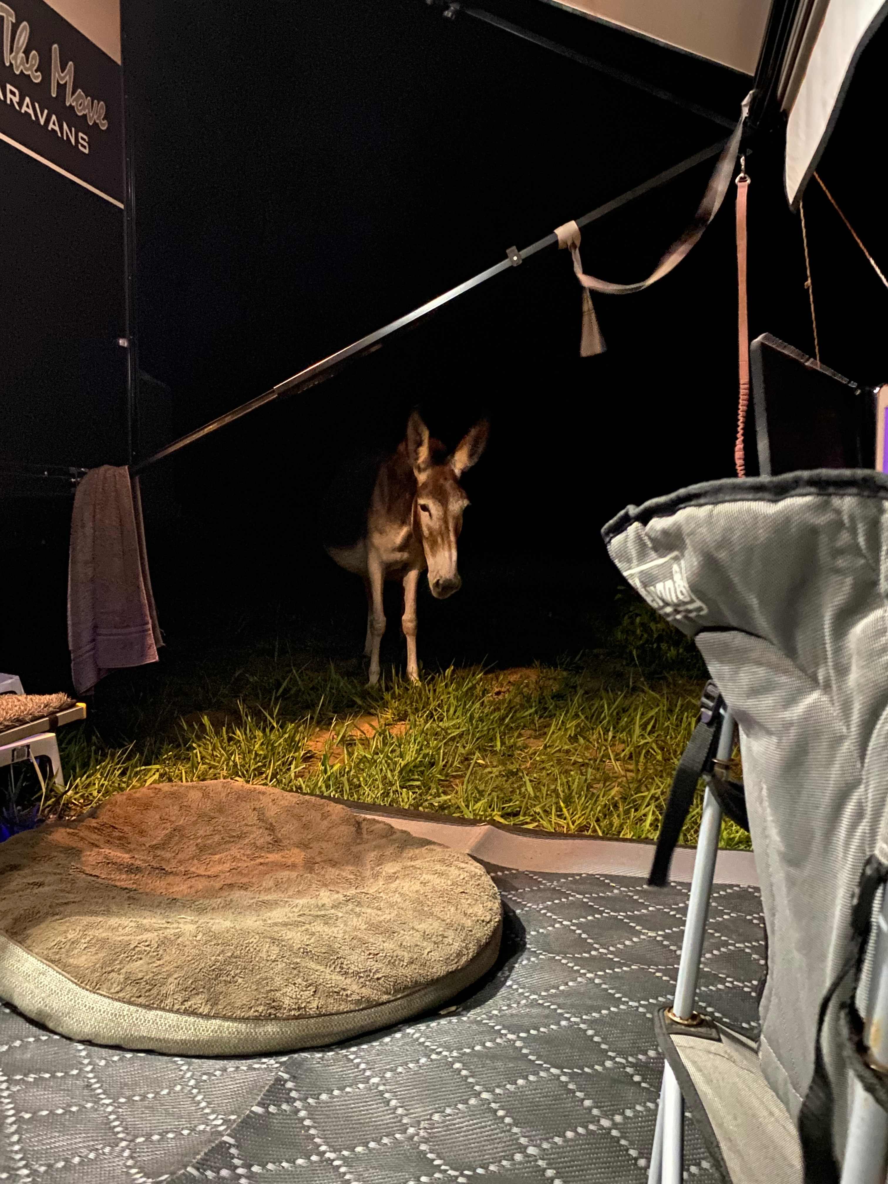 Hidden Camp Farm Stay