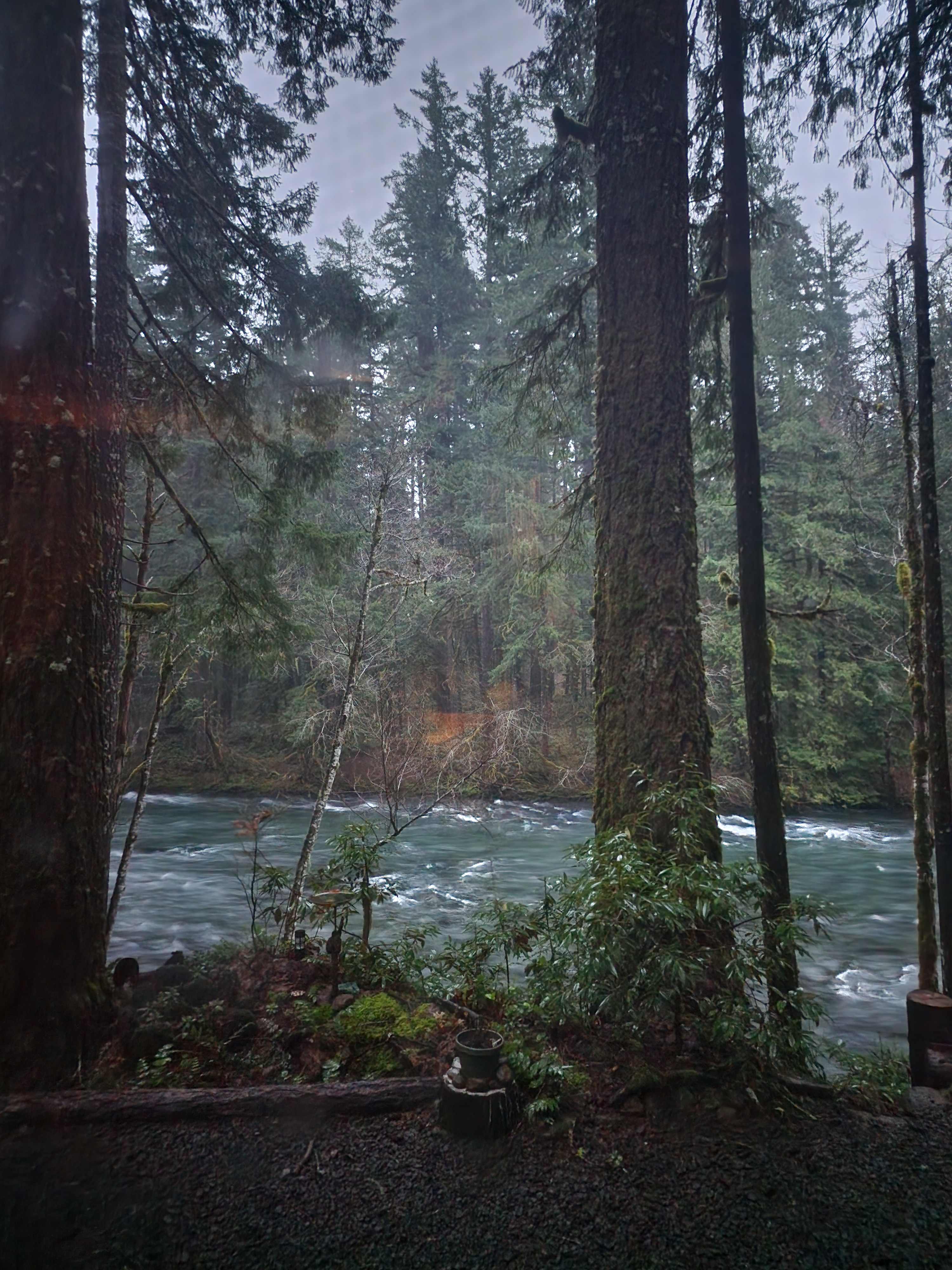 Looking out my window