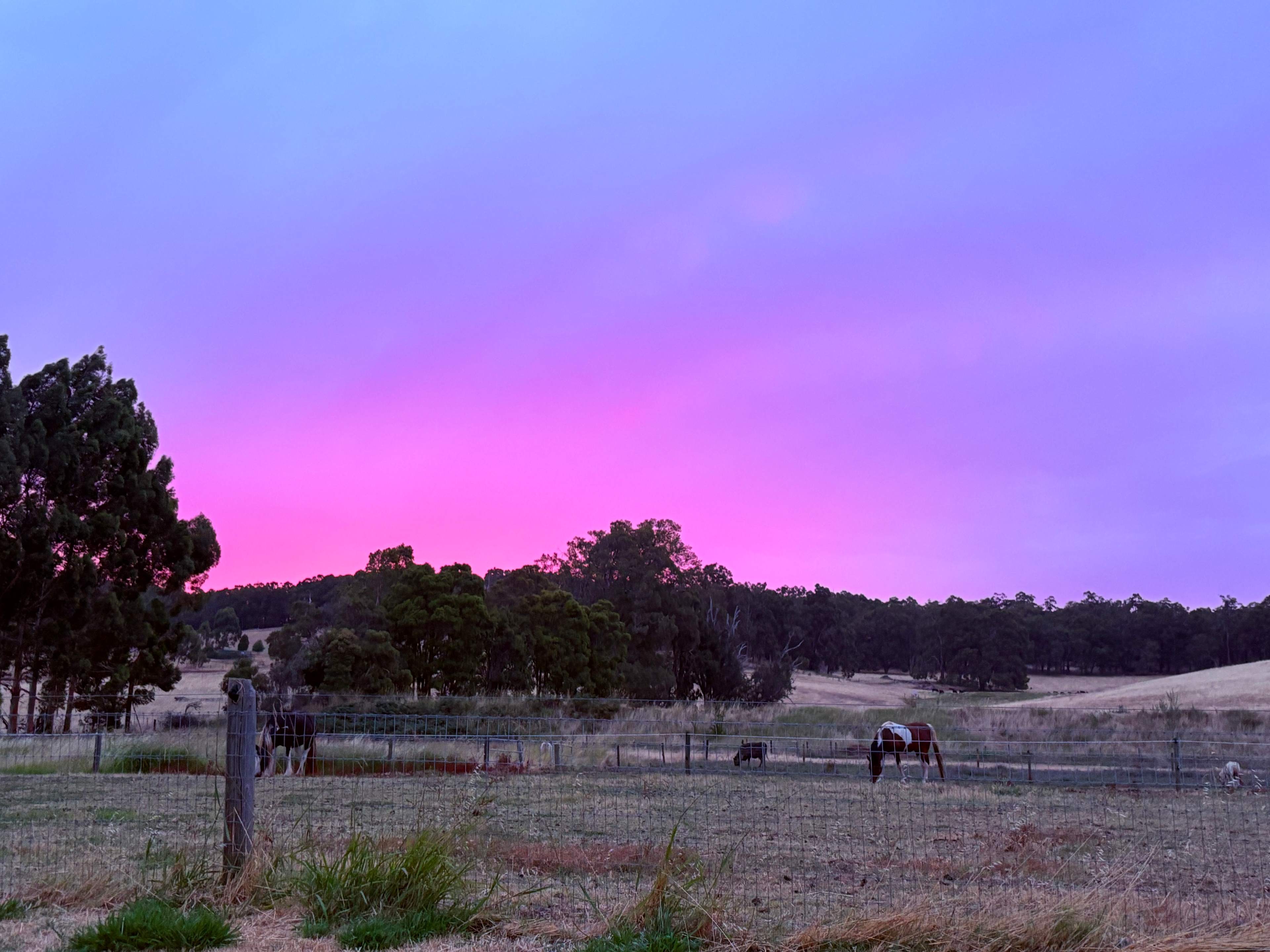 Brookhampton Valley Farm Getaway