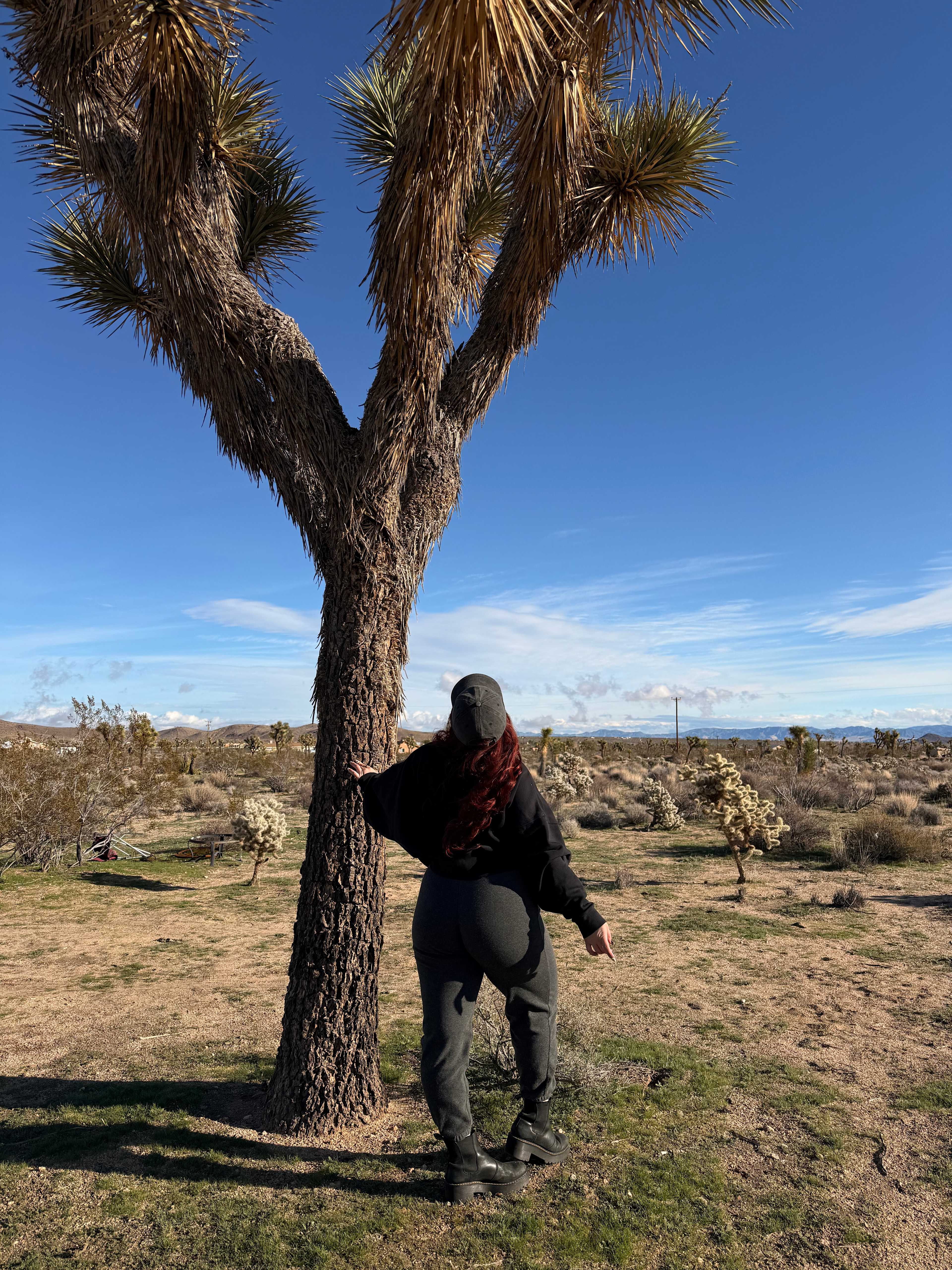 Caribbean Mojave Escape