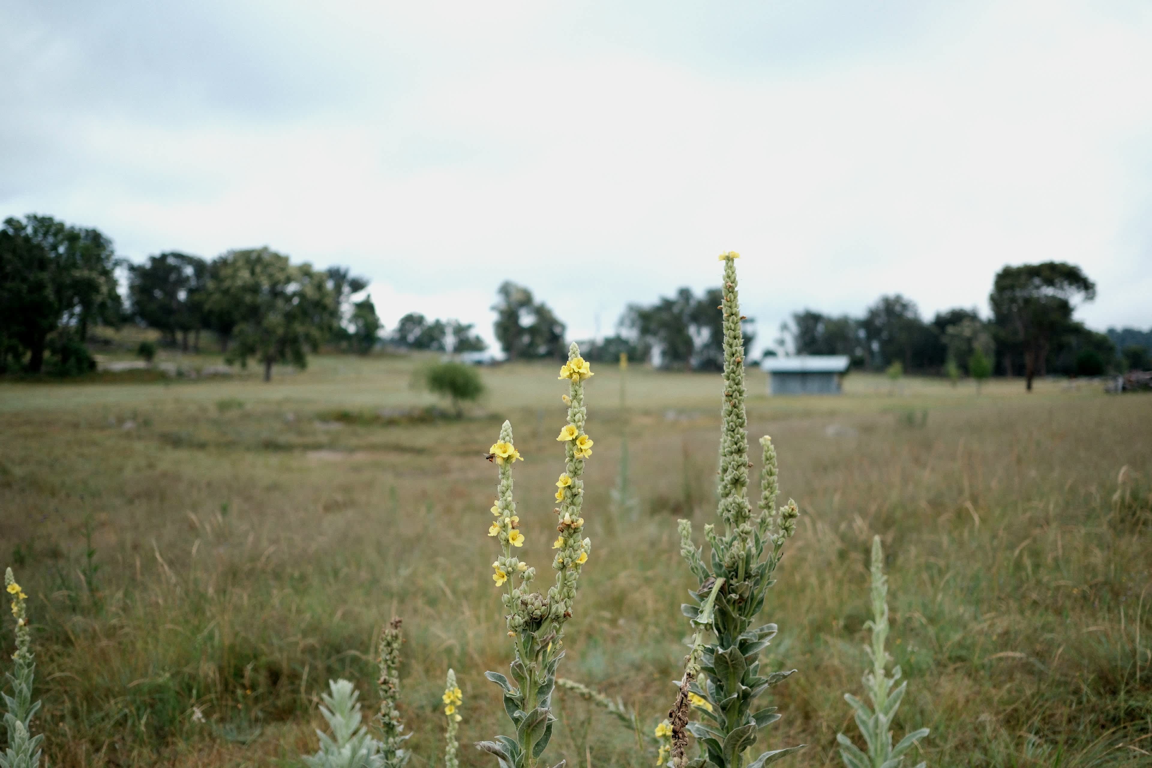 Kookaburra Camping & Caravan Park