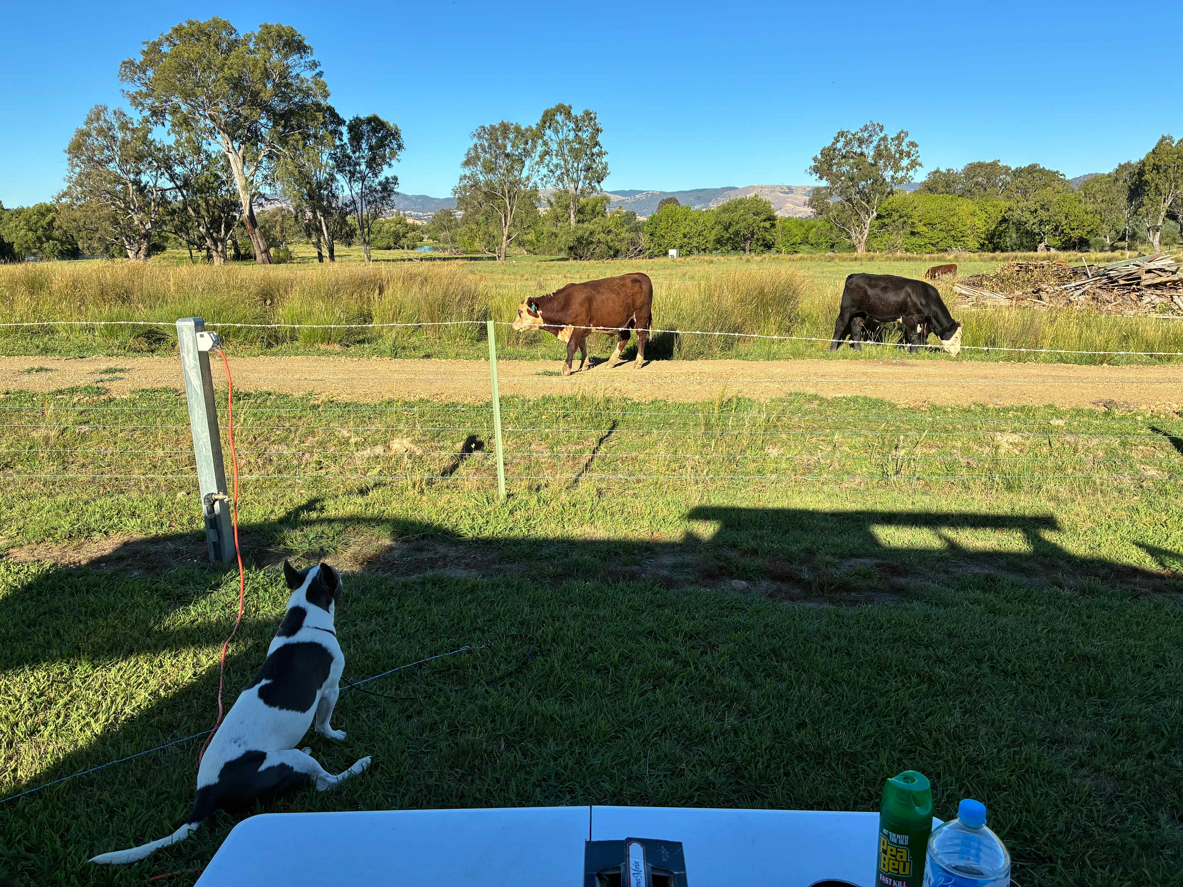 Tumut Valley Holiday Park