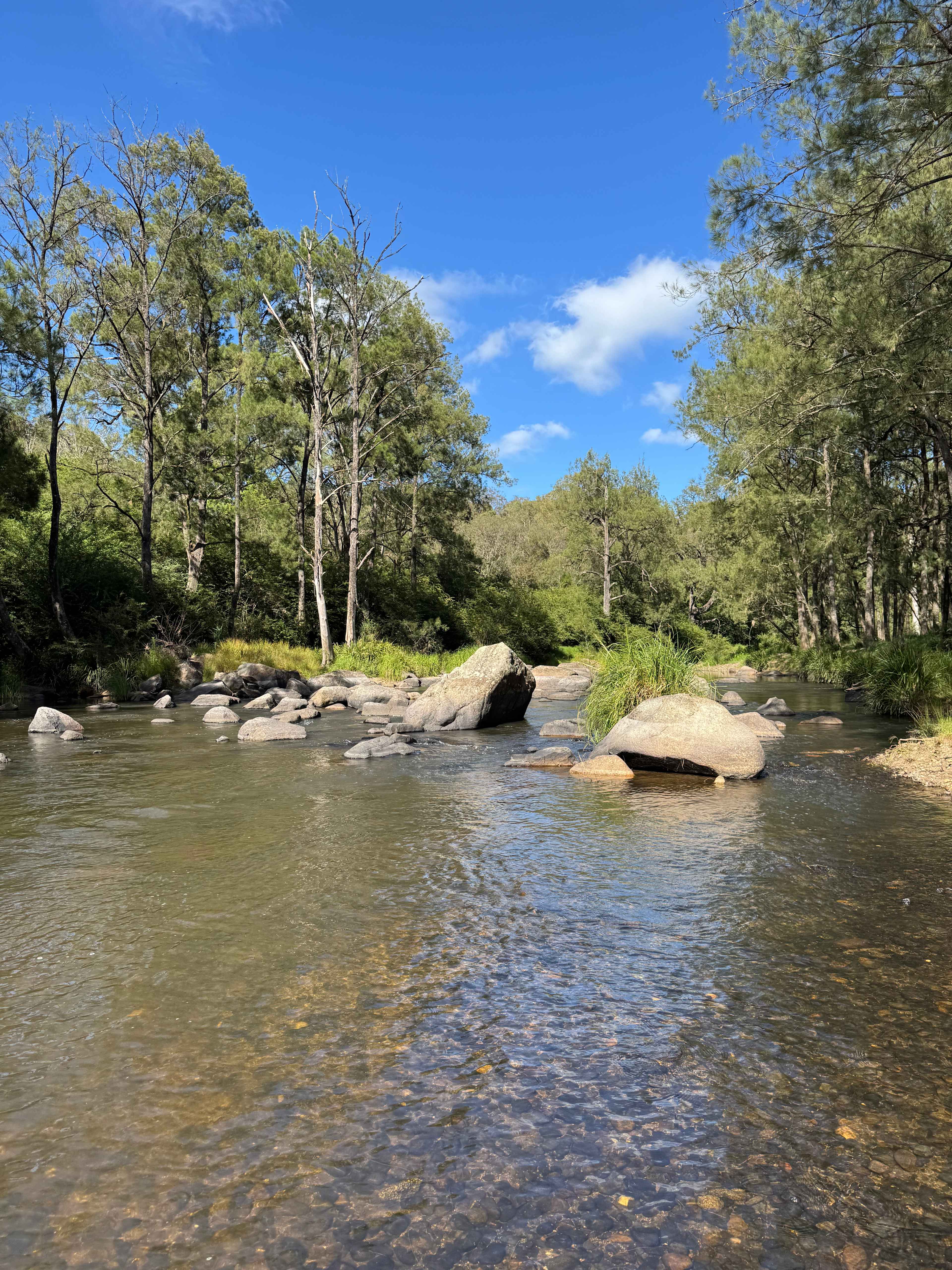 Wild Nymboida Camping Dorrigo