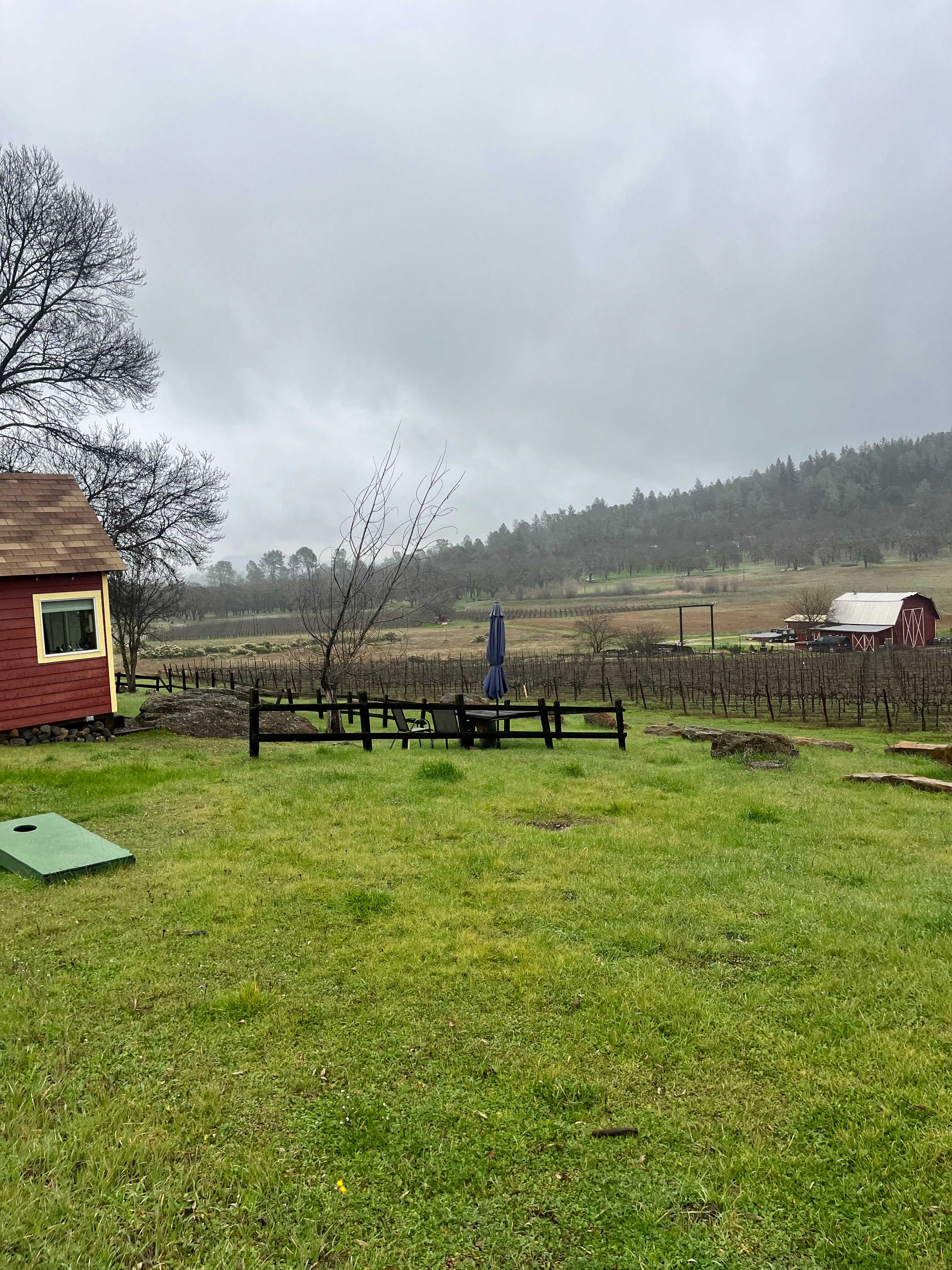 Vineyard Camping at Bad Rat Ranch