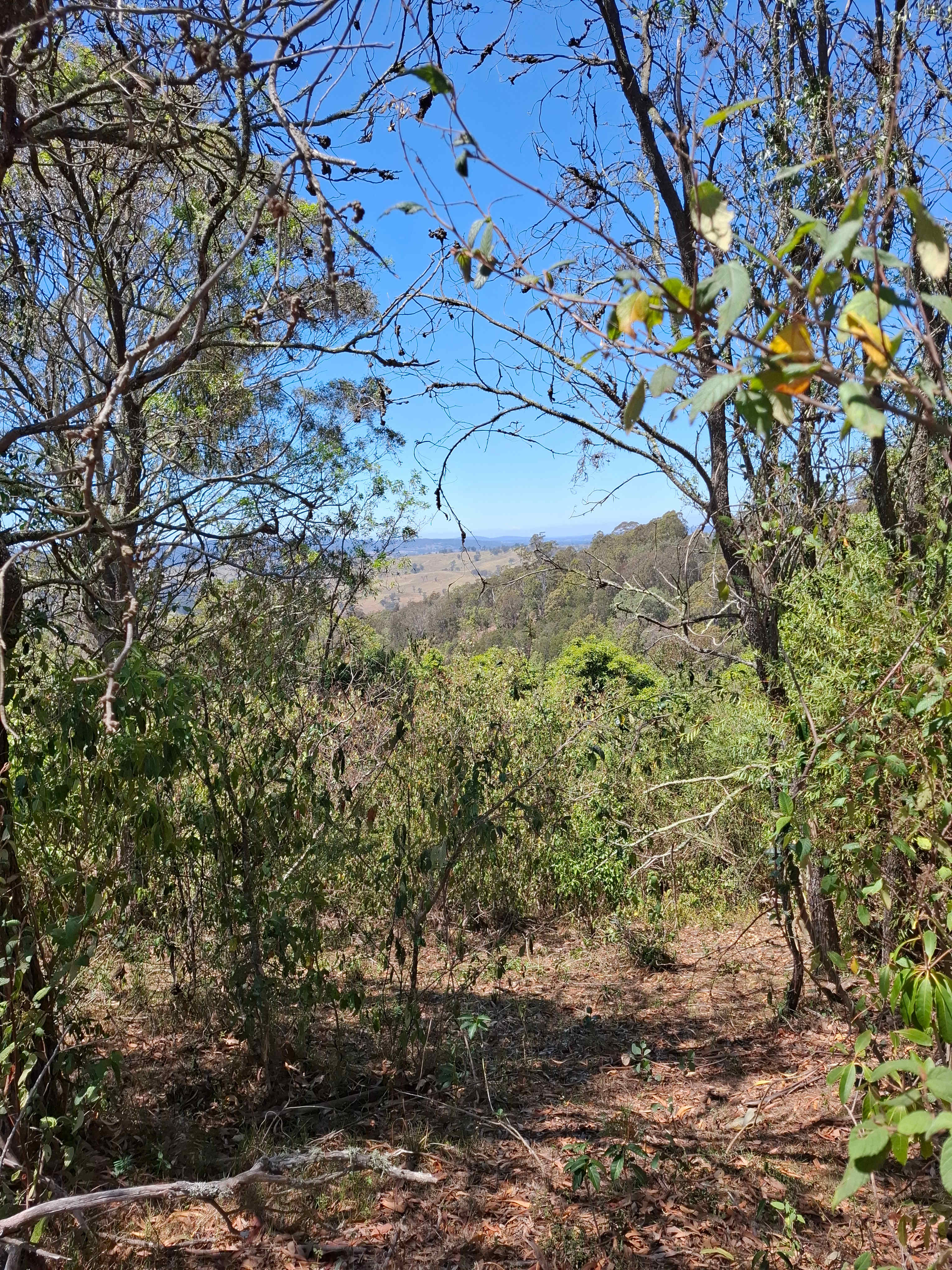 View from near the dam