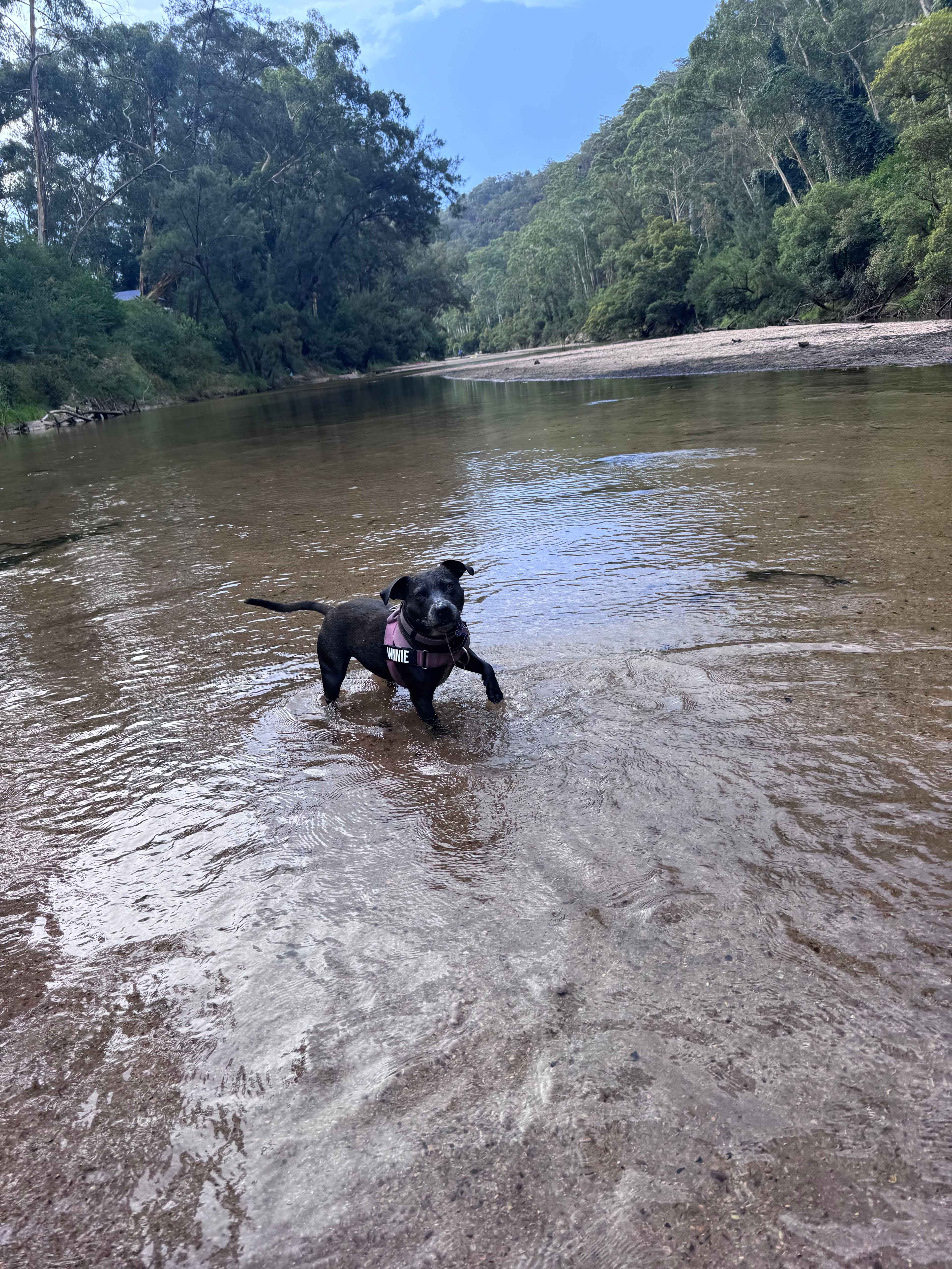 "DeView" Colo River Valley Camping
