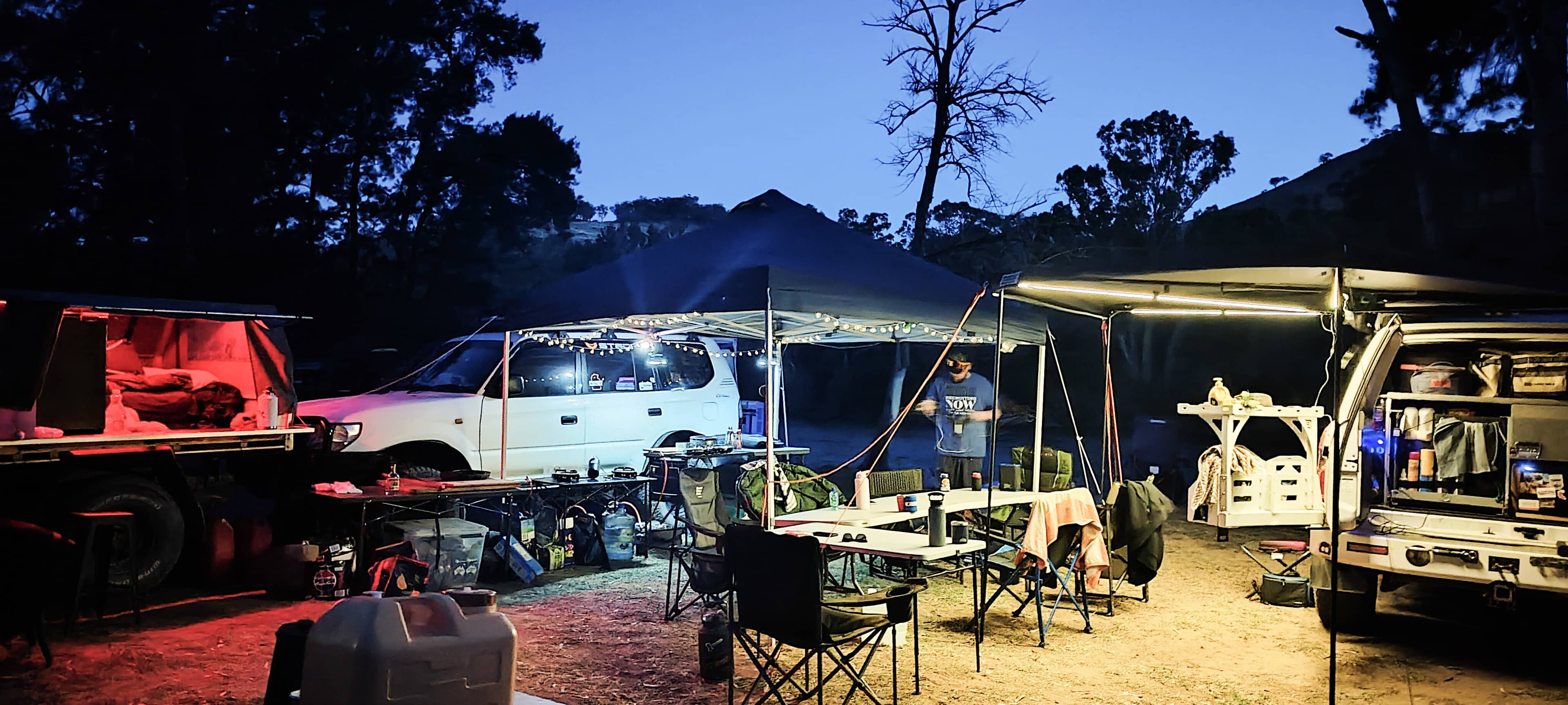 Our wind break from a bit of a windy night