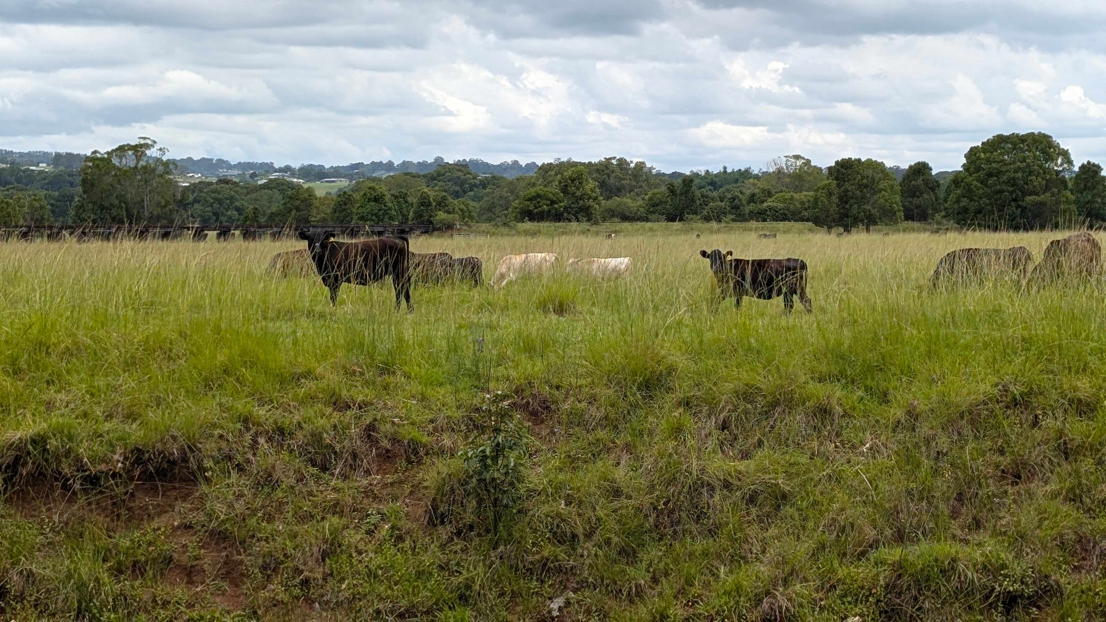 Eltham Station Farm Stay