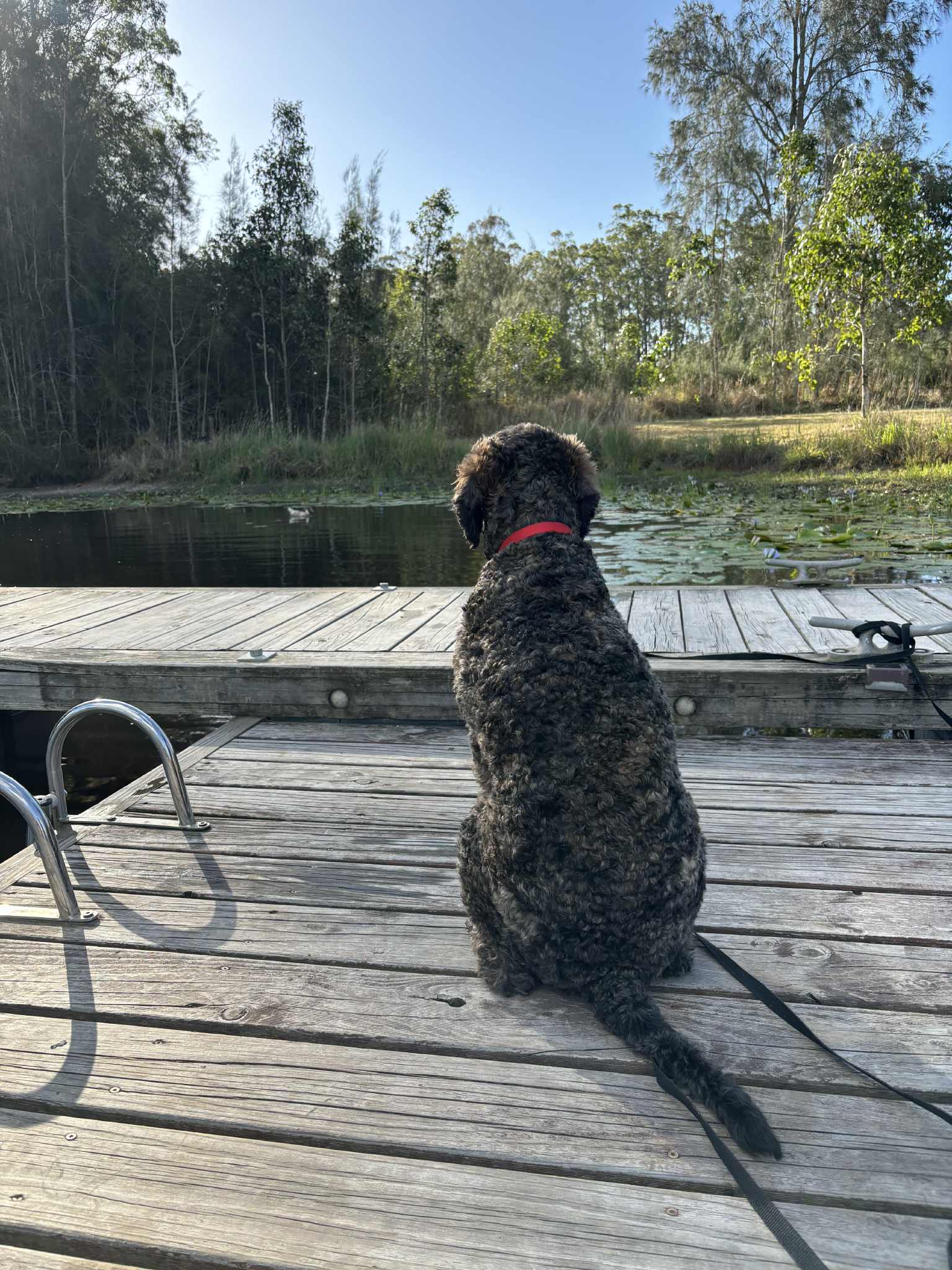 The Riverside Farm Escape Minimbah