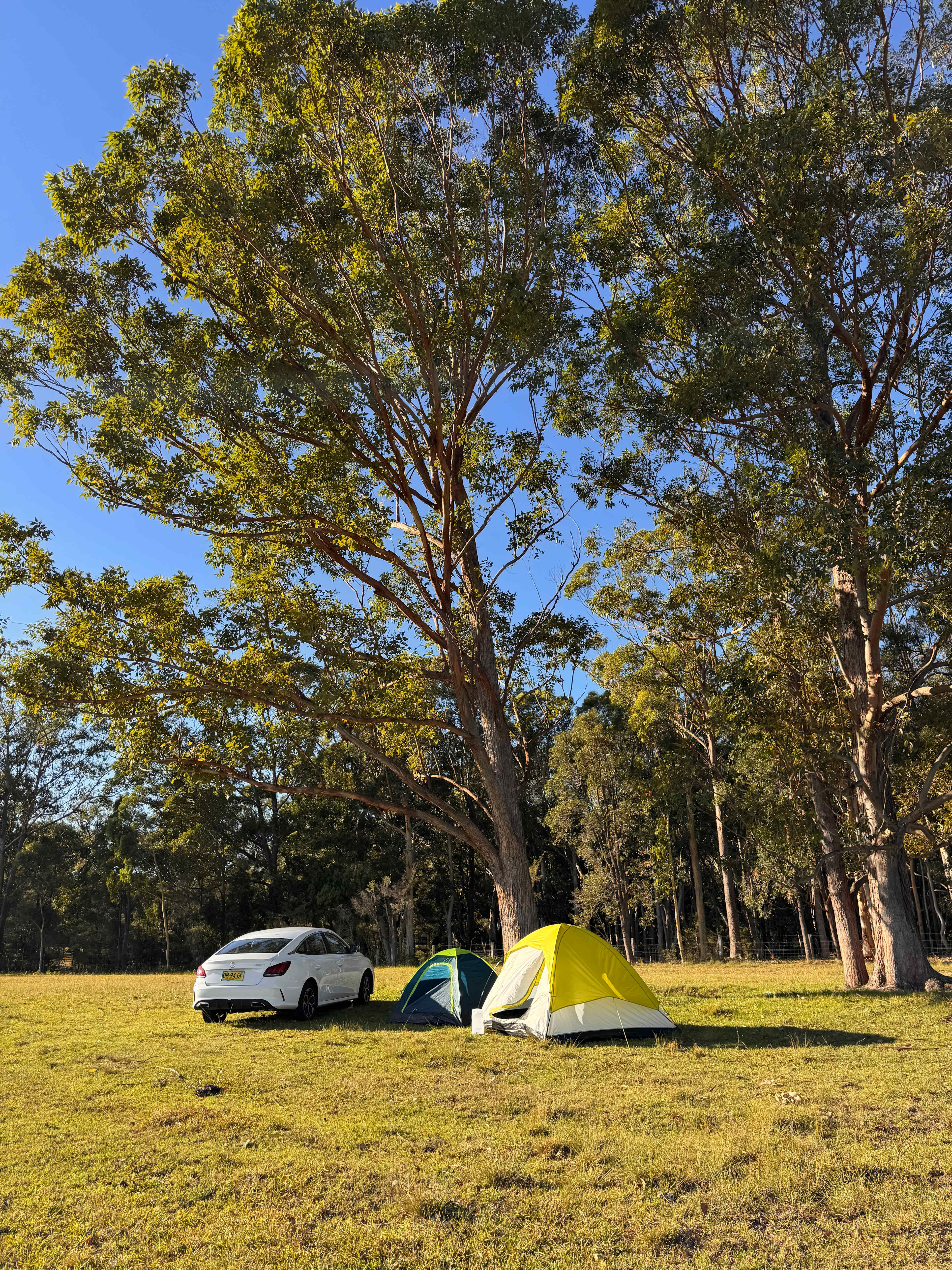 The Wandy Donkey Camp