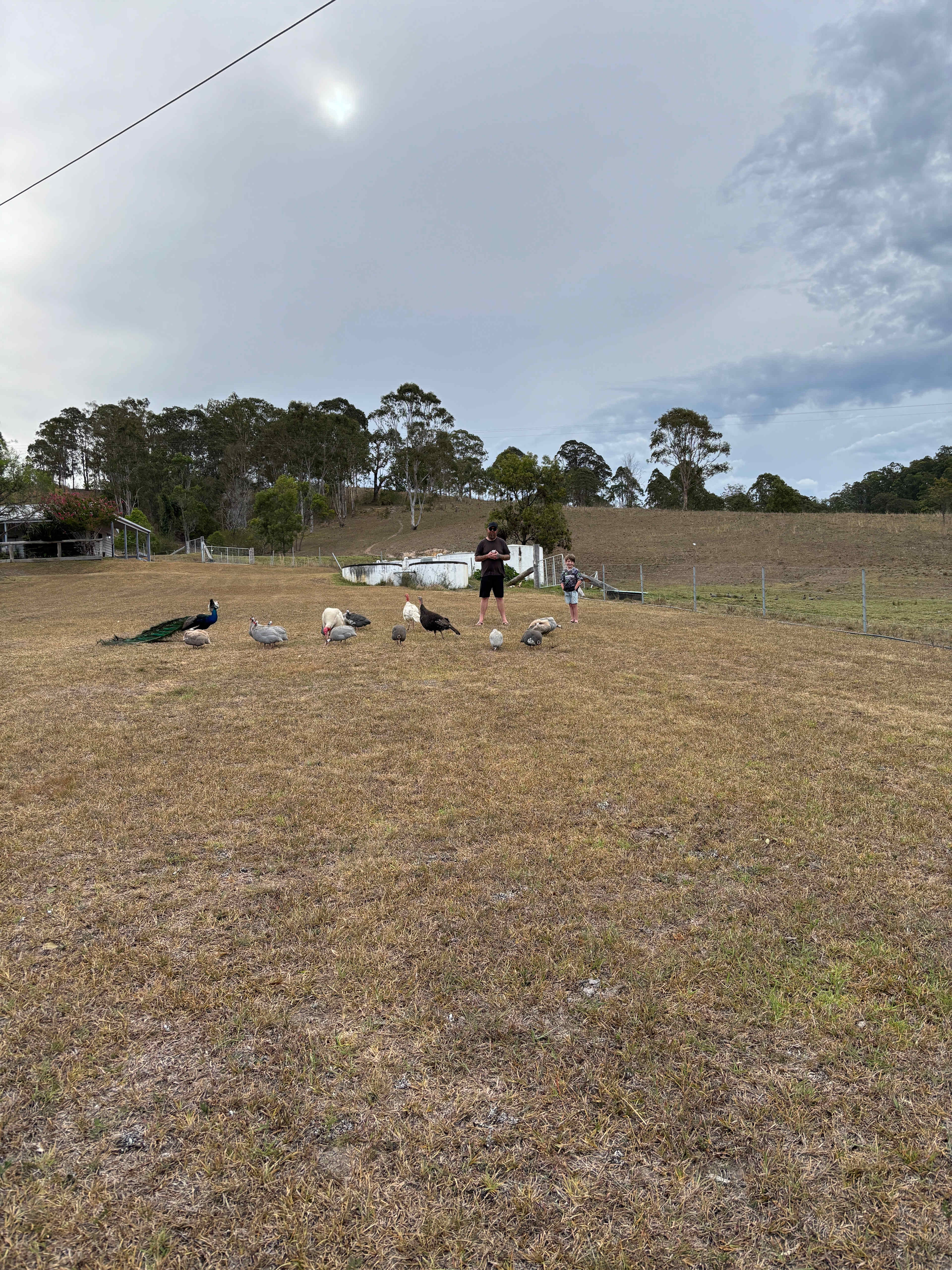 Altamira Along Bakers Creek