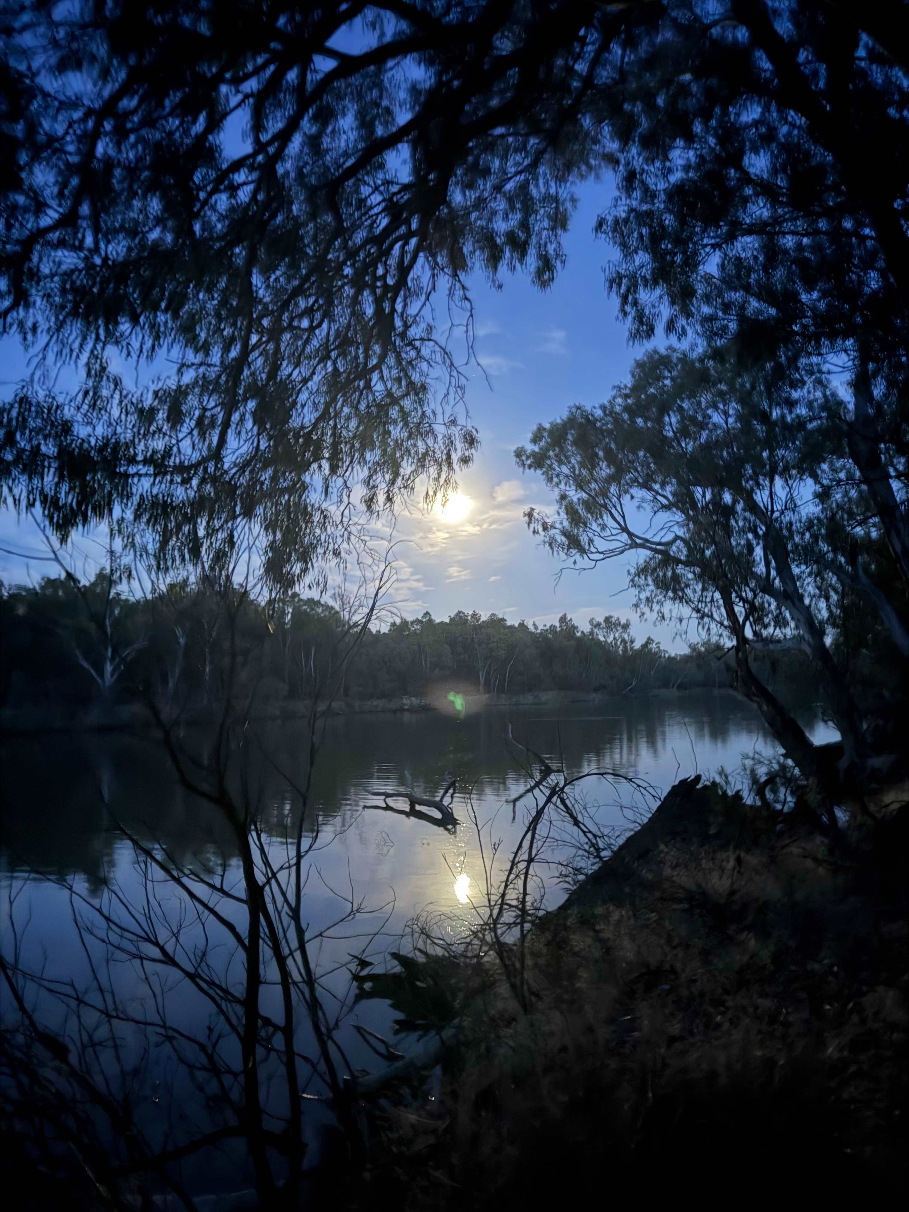 Murray River Bush Camp