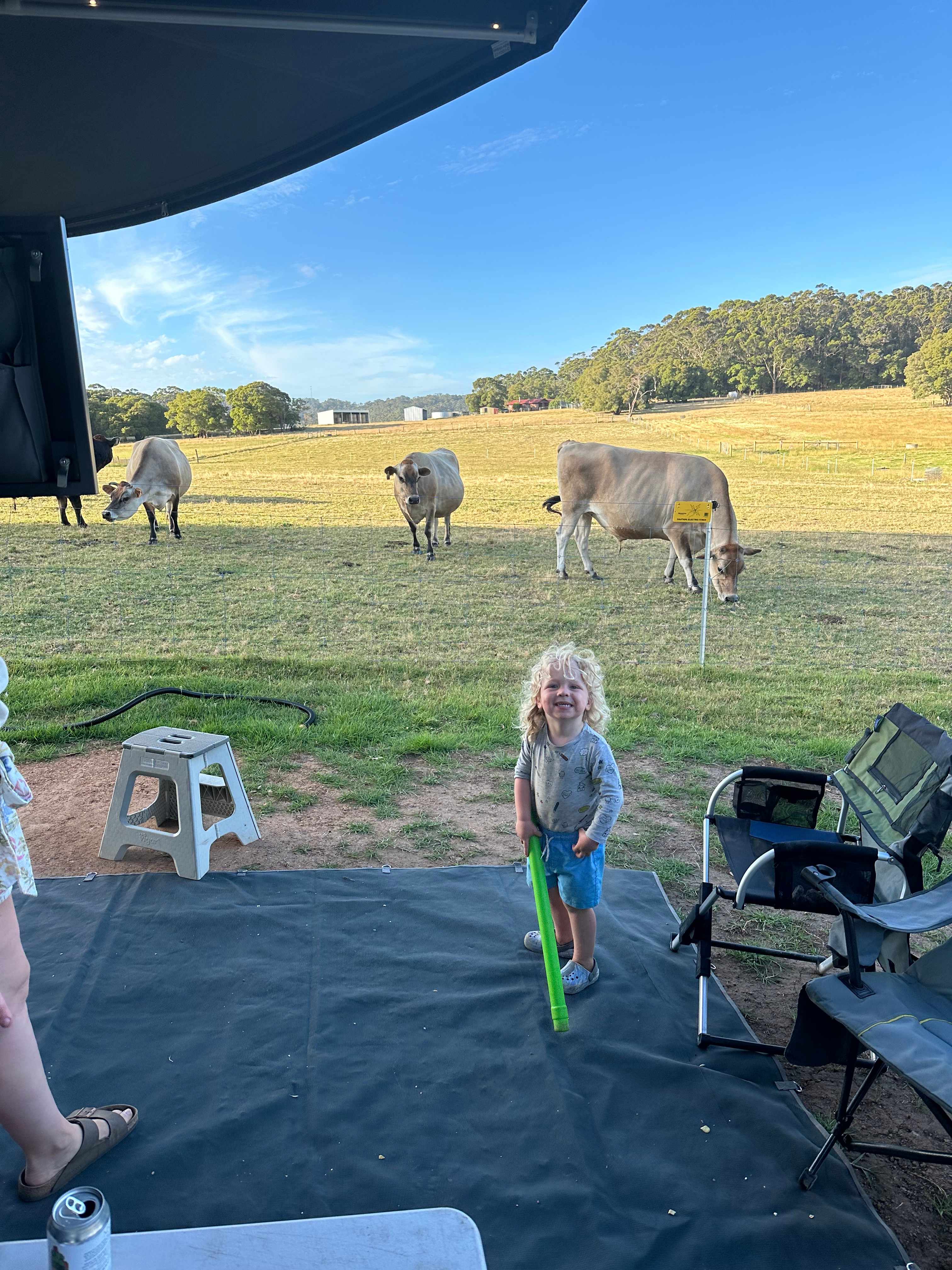 Monkey Rock Cider & Brewing Co