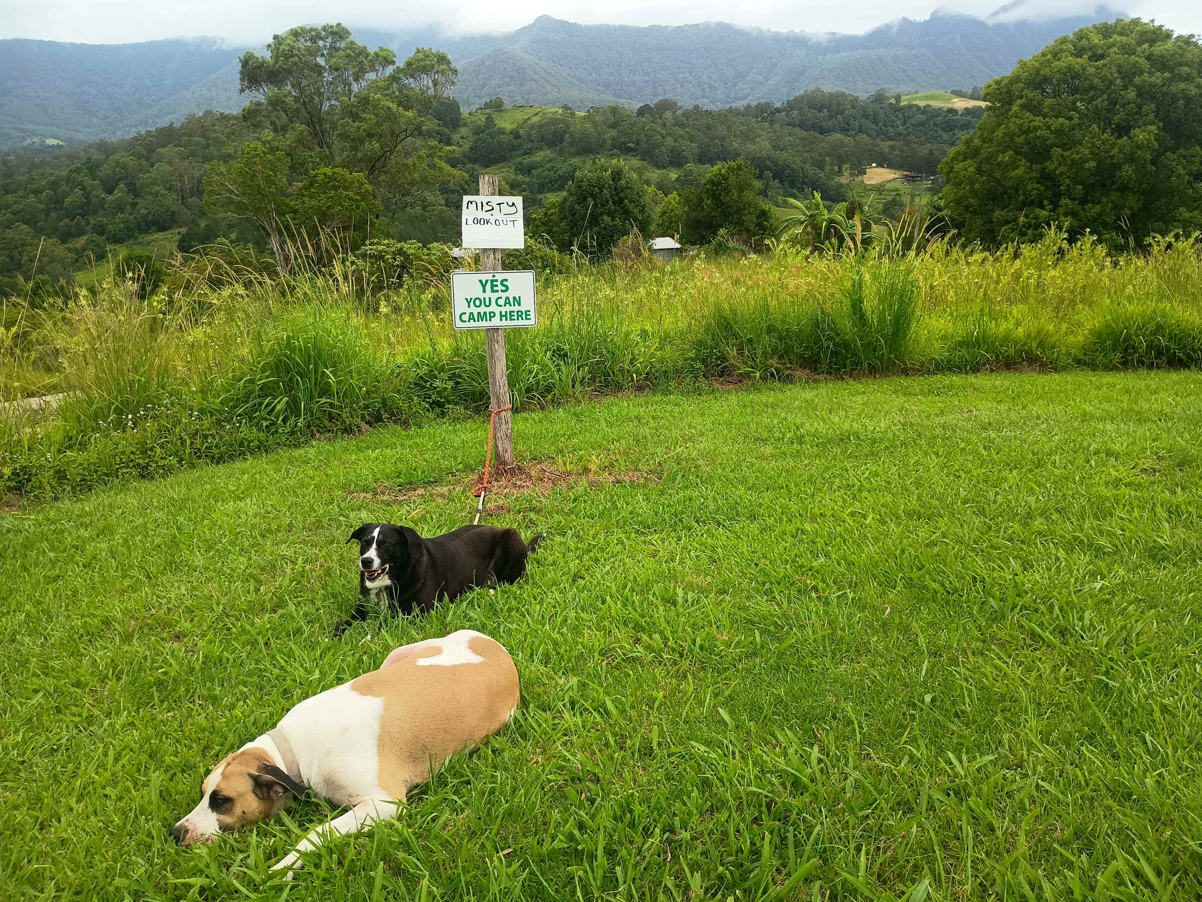 Misty Mountain - Kunghur