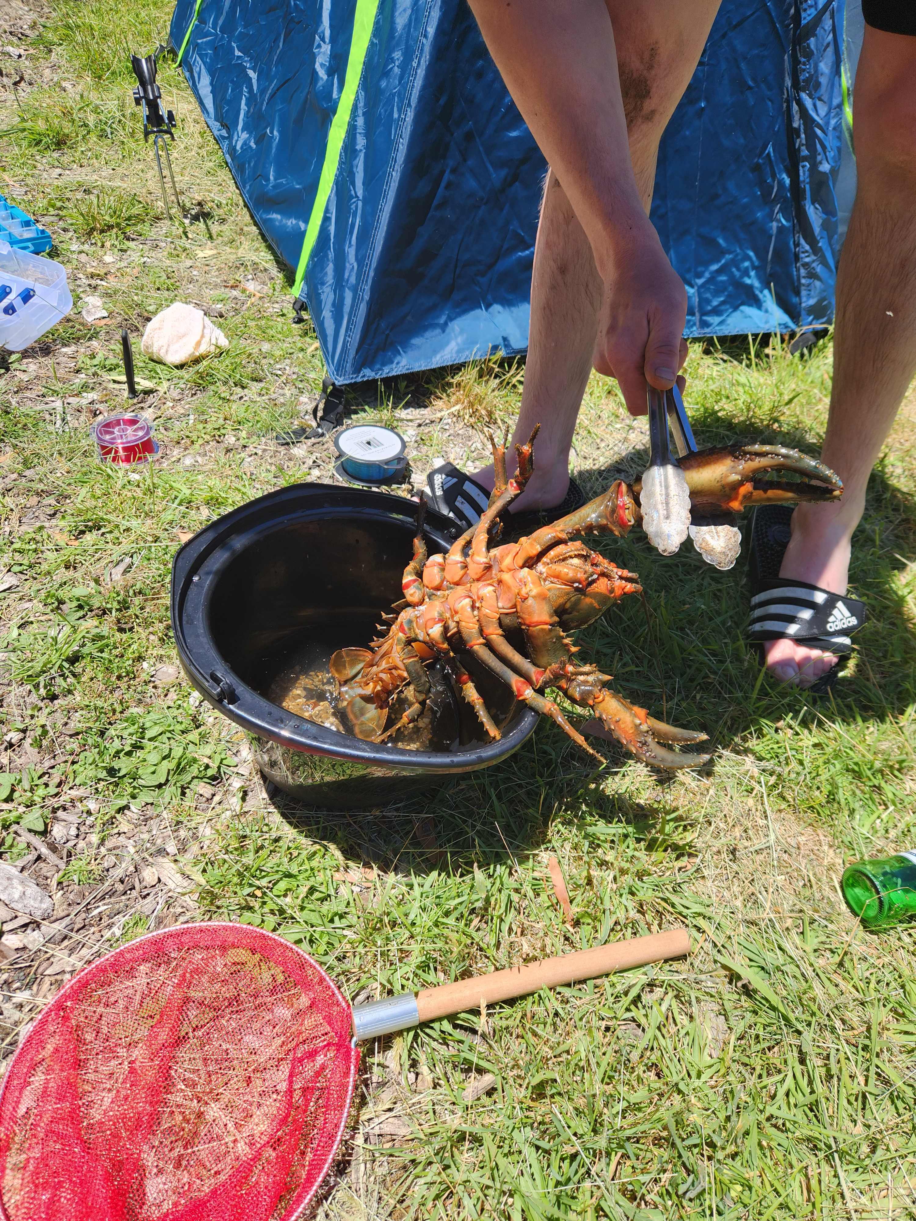 Organic Farm & Riverside Camping