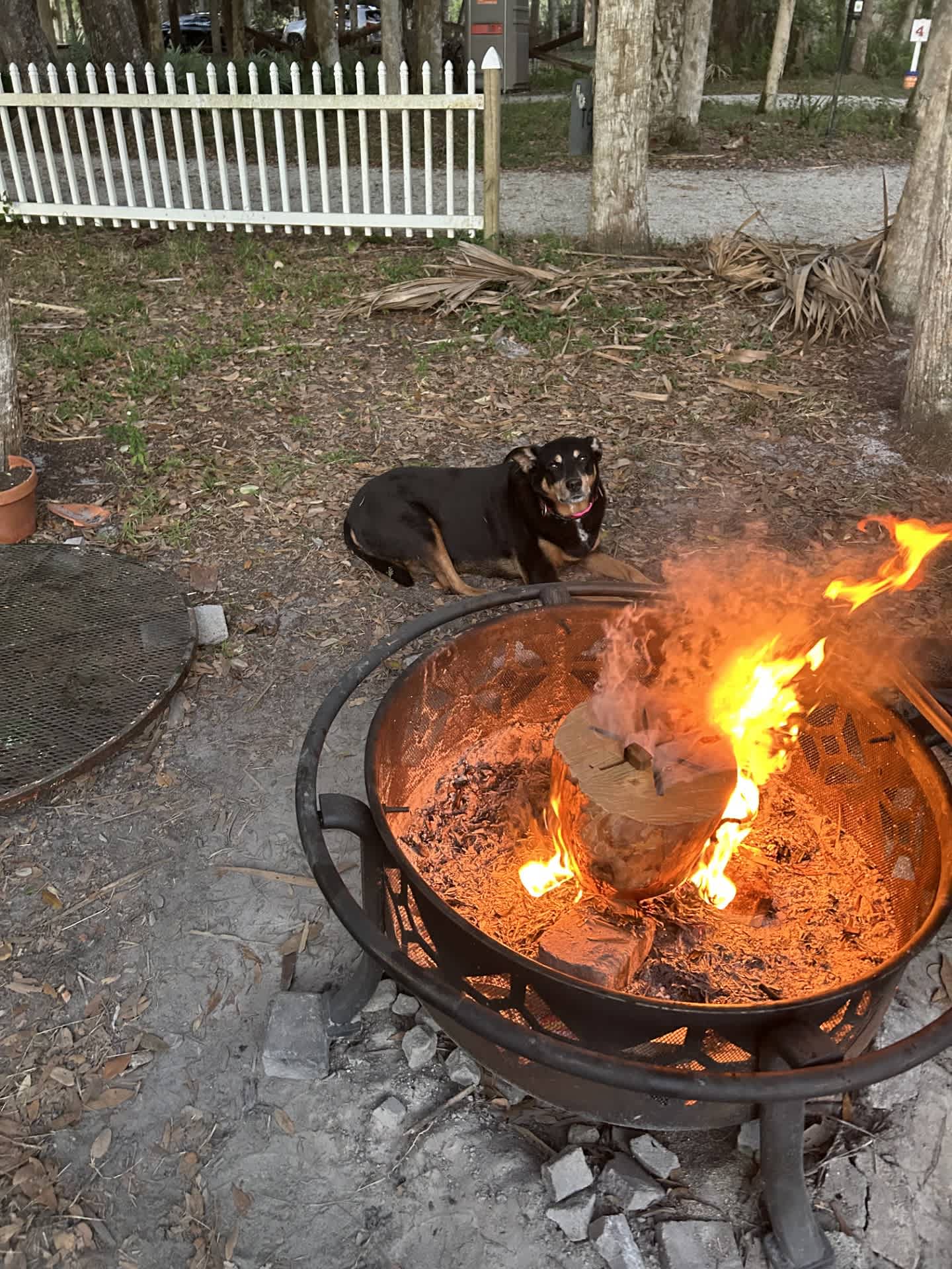 Getting ready for the cold