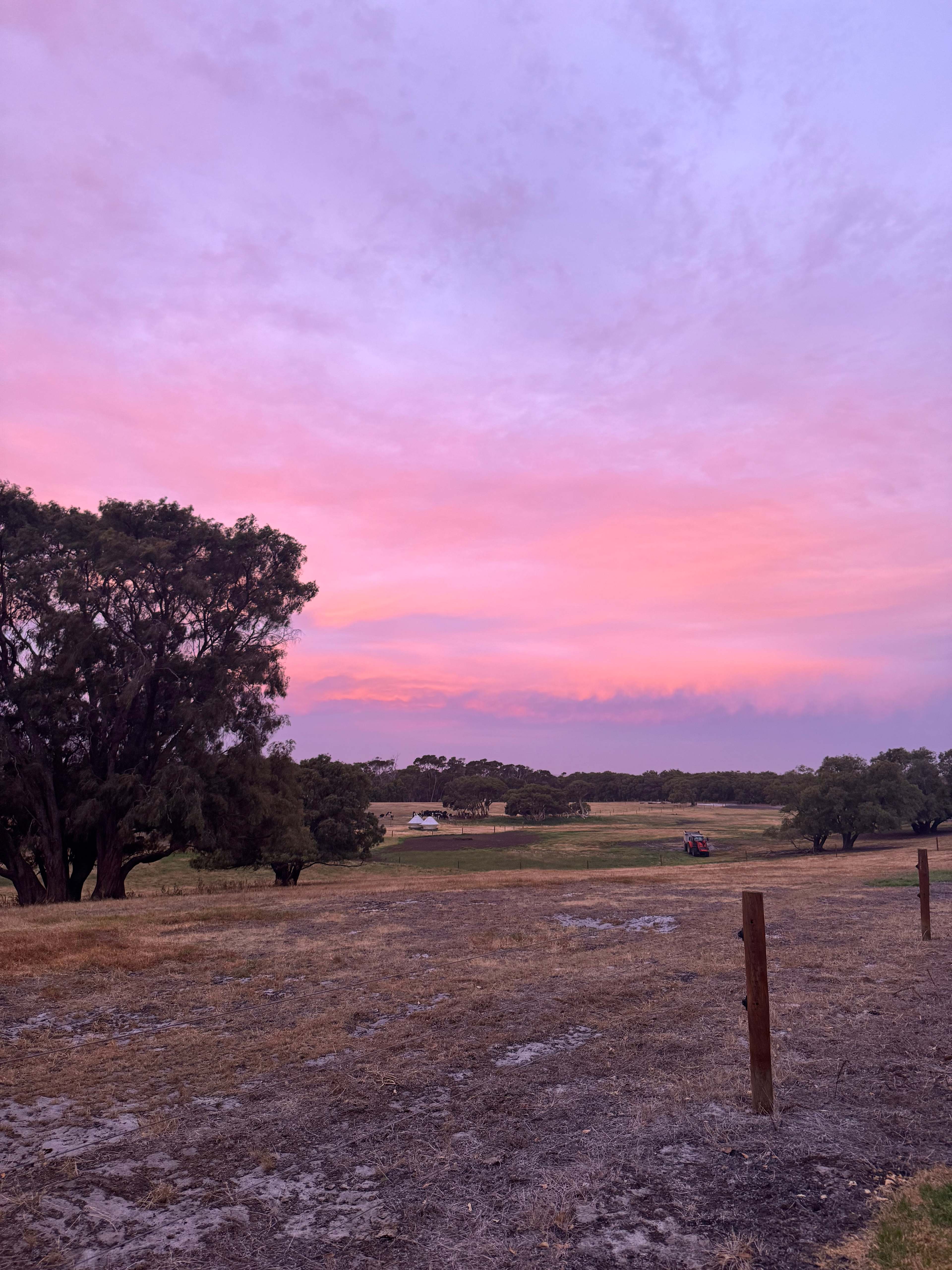 Dunmore Homestead Farmstay