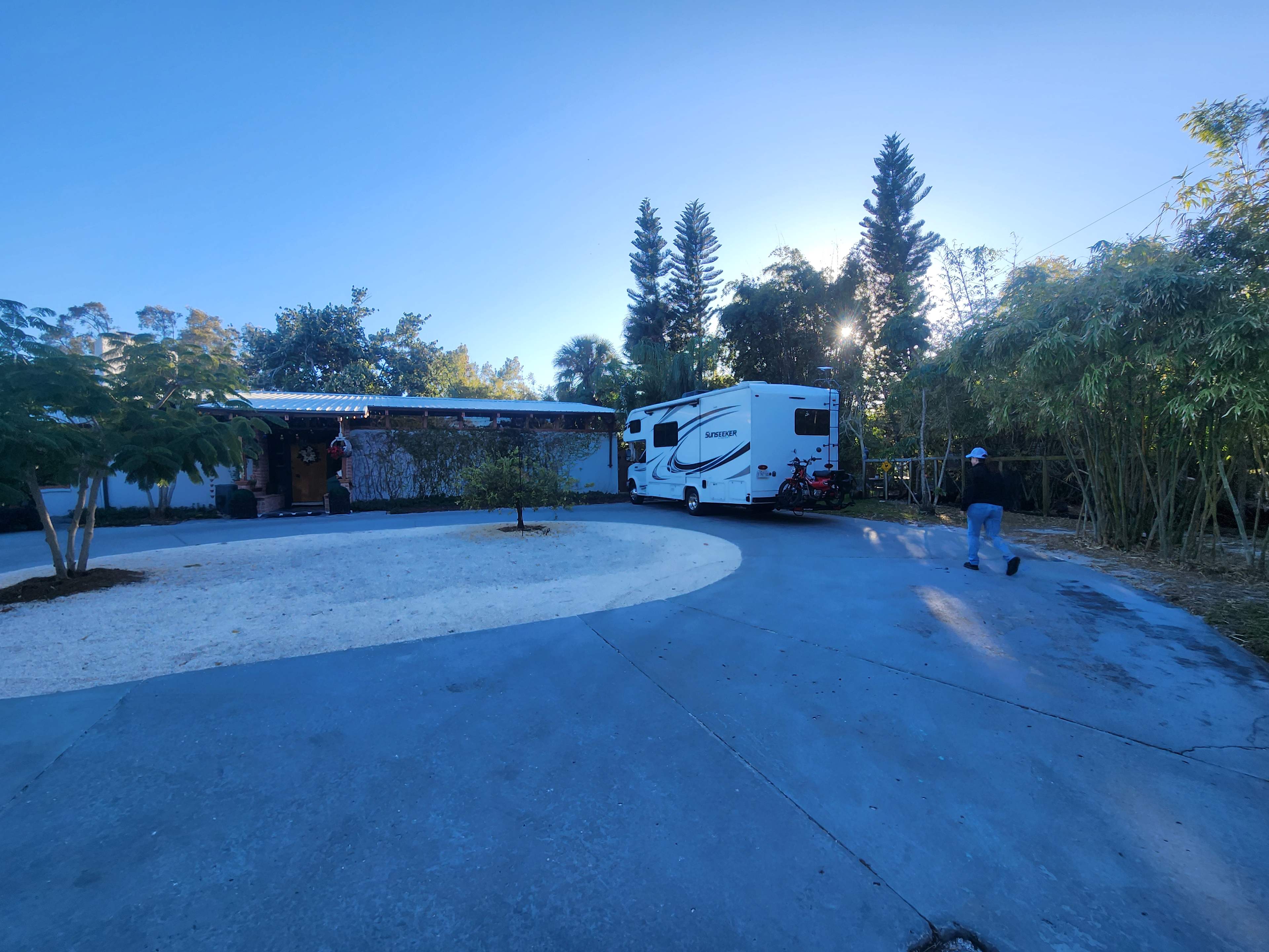 Honey Bunny’s Urban Oasis