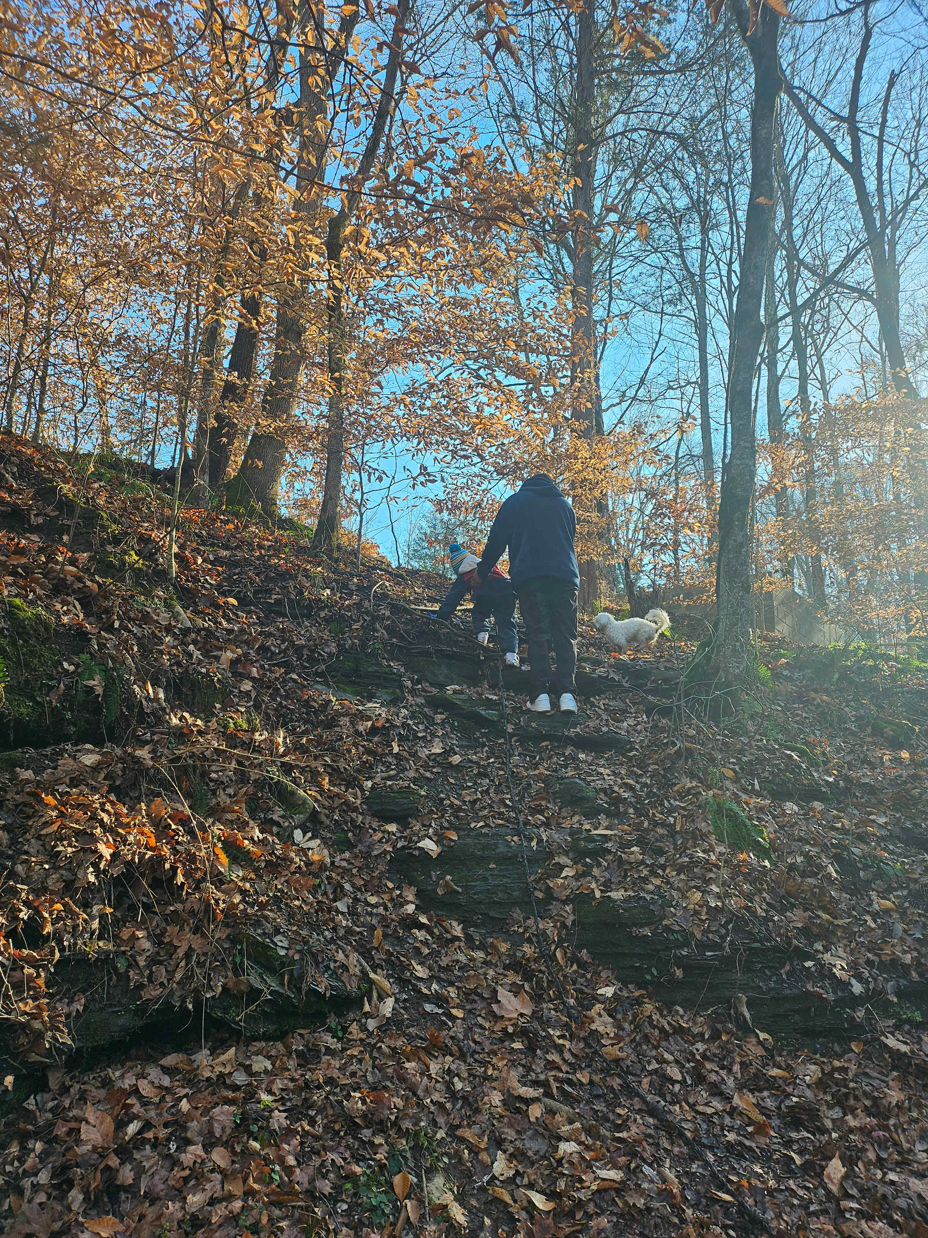 Peaceful Hills Retreat & Campground