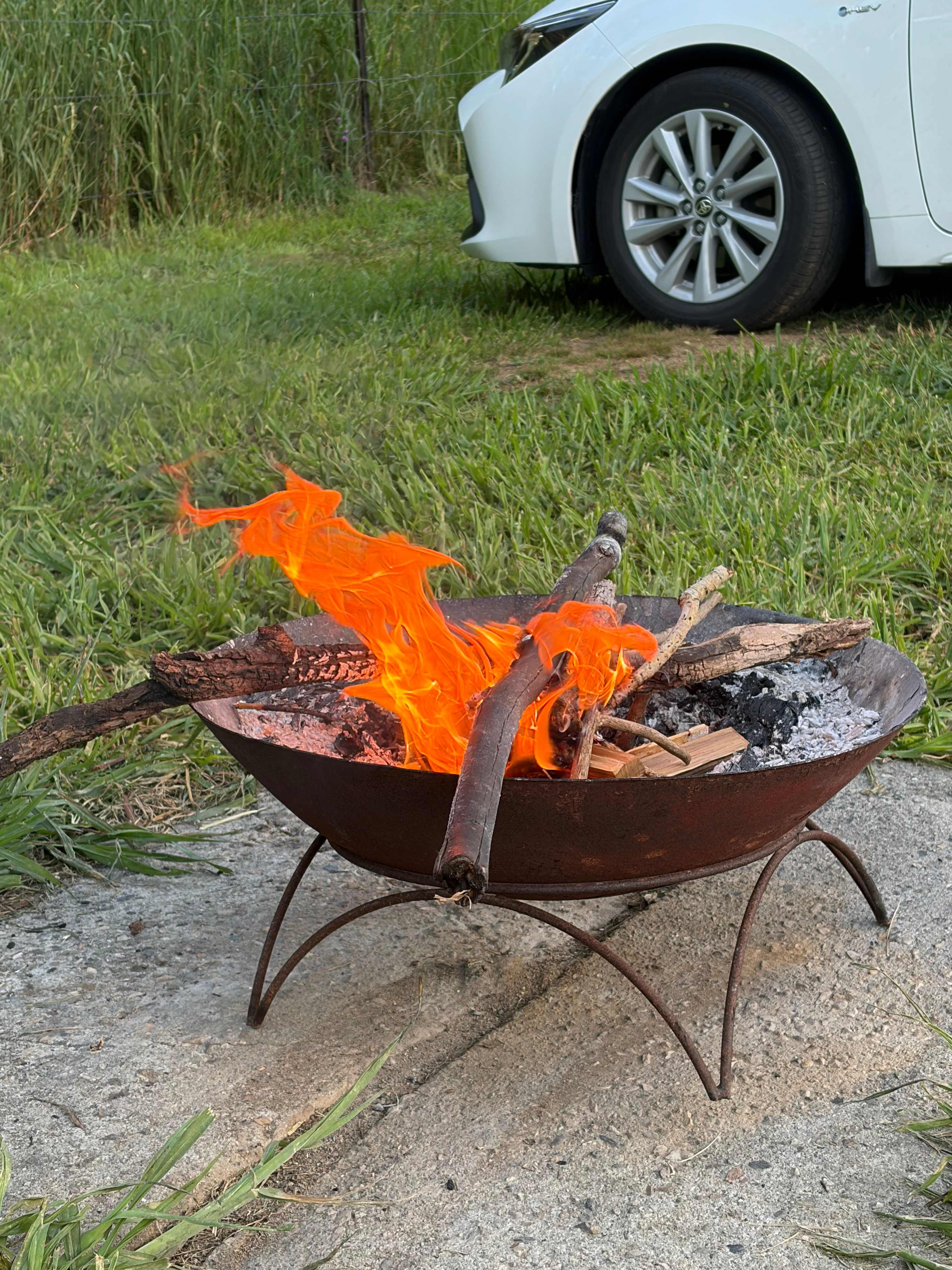 McKenzie Creek Campsite
