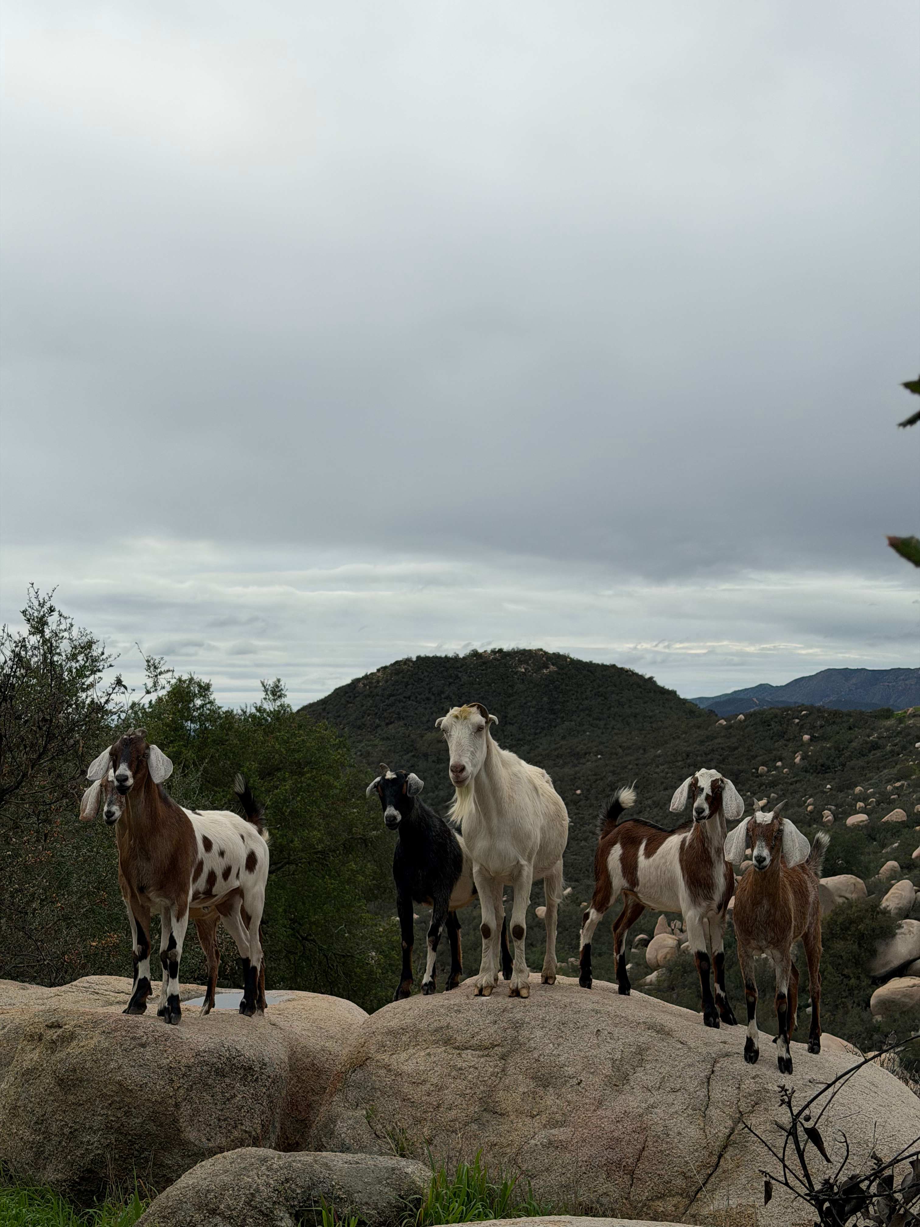 Splitrock Farm and Retreat