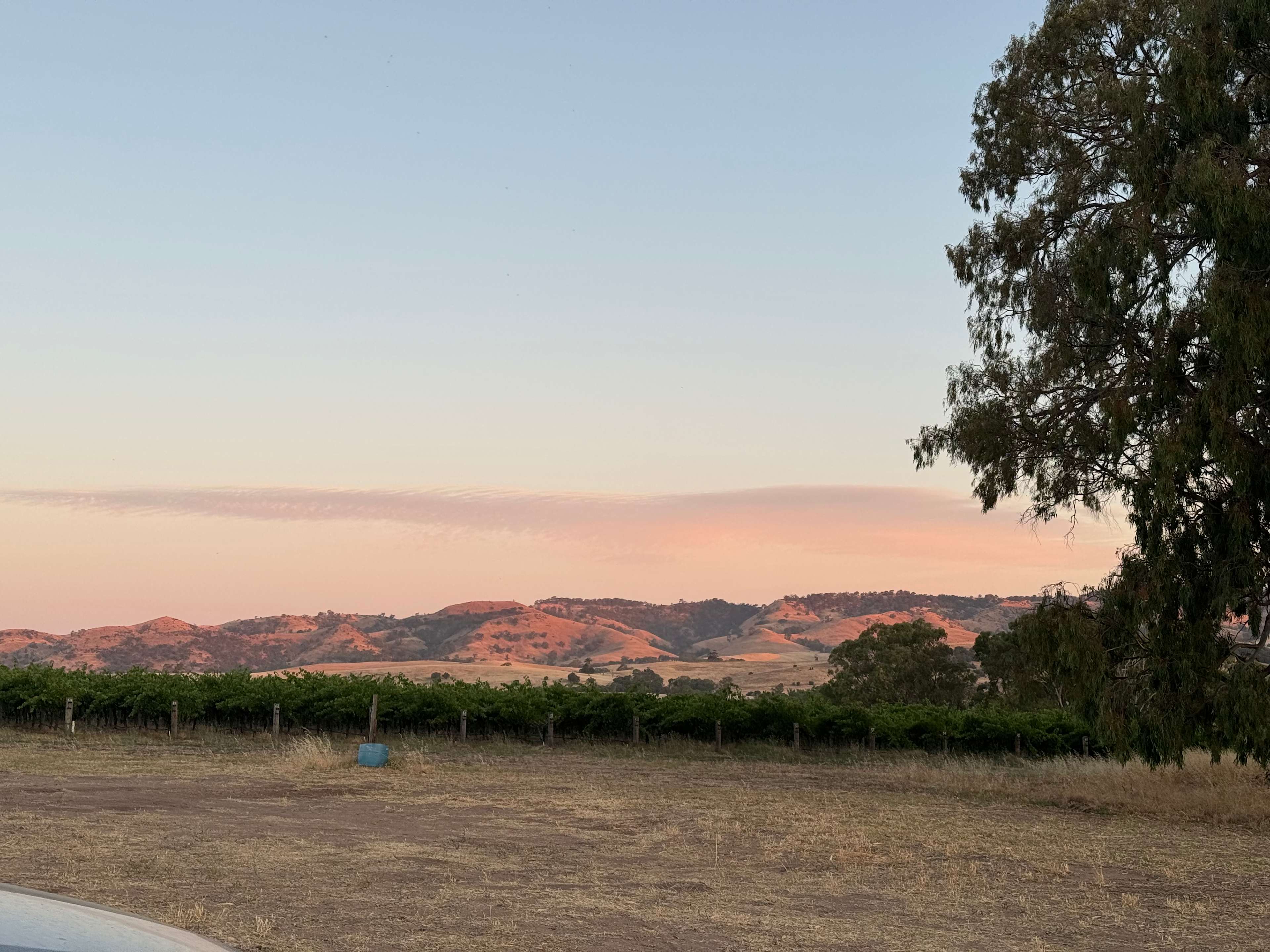 God’s Hill Wines & Ennia Cucina