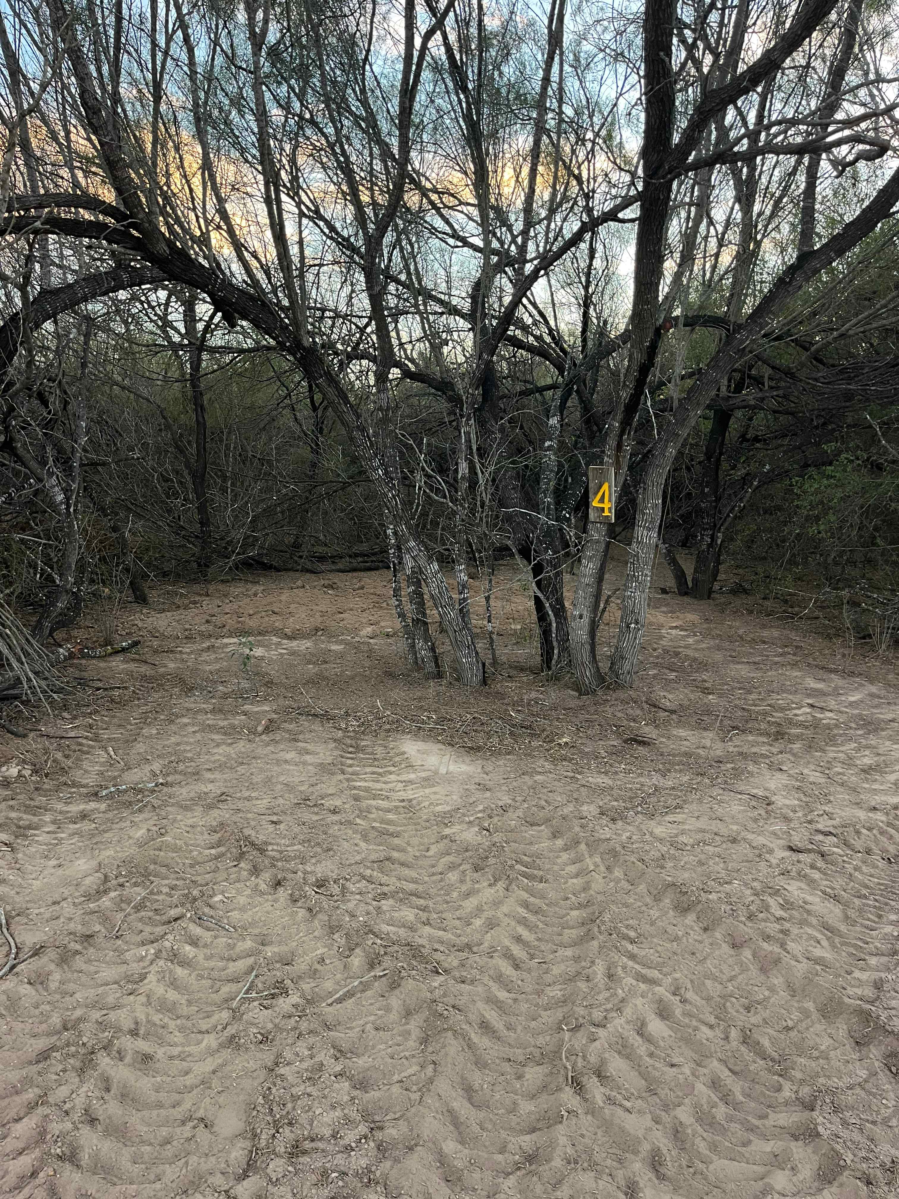 Picture of the site