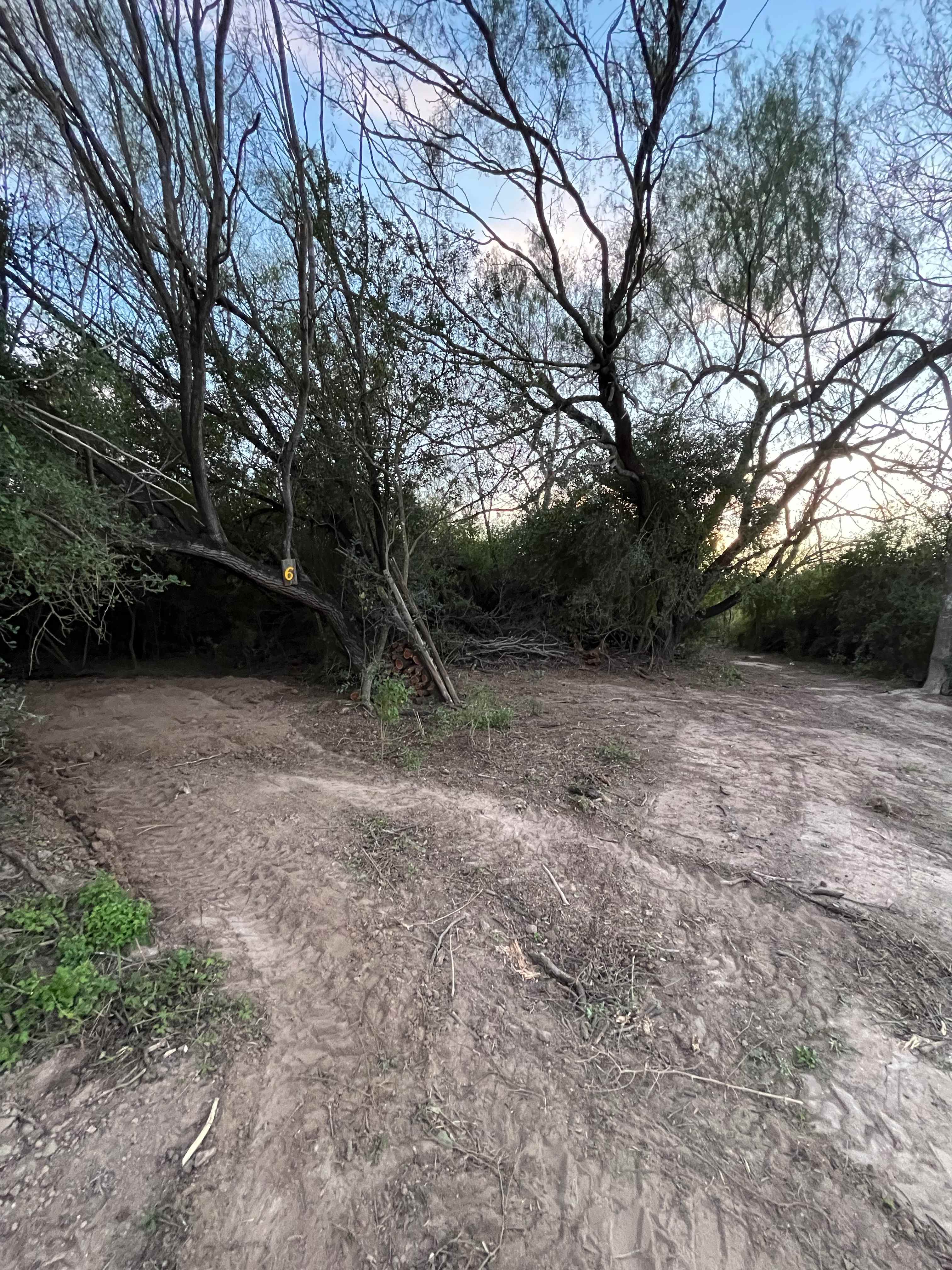 Picture of the site