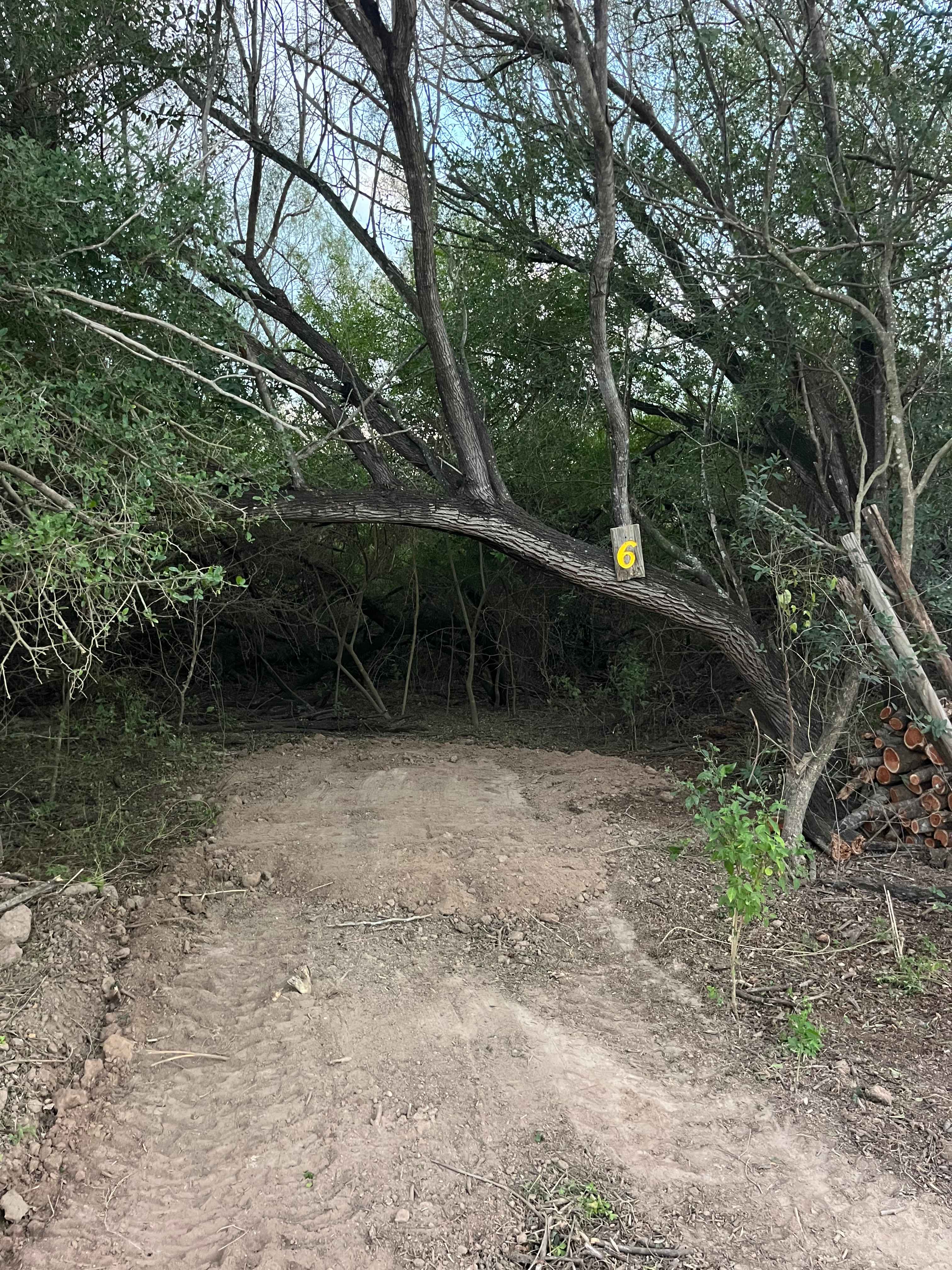 Picture of the site