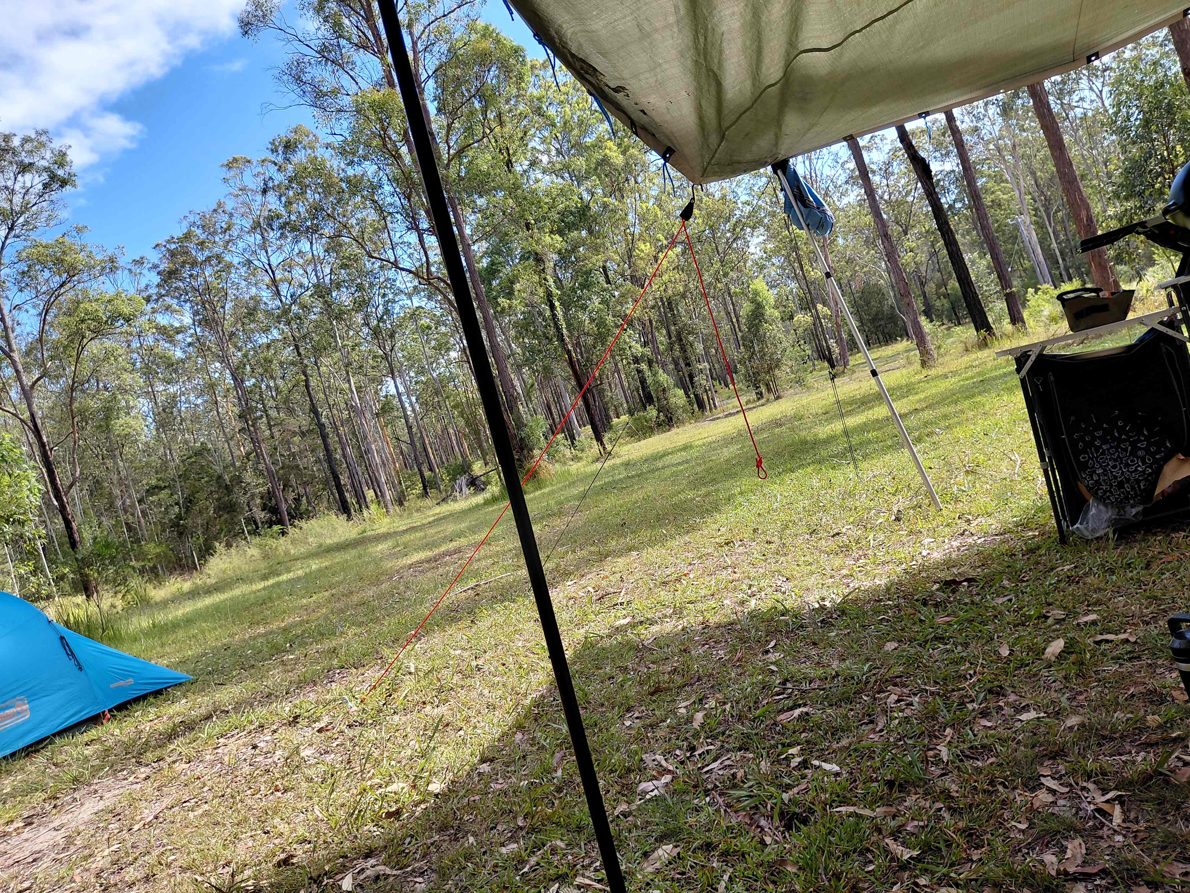 Heartwood - tranquility