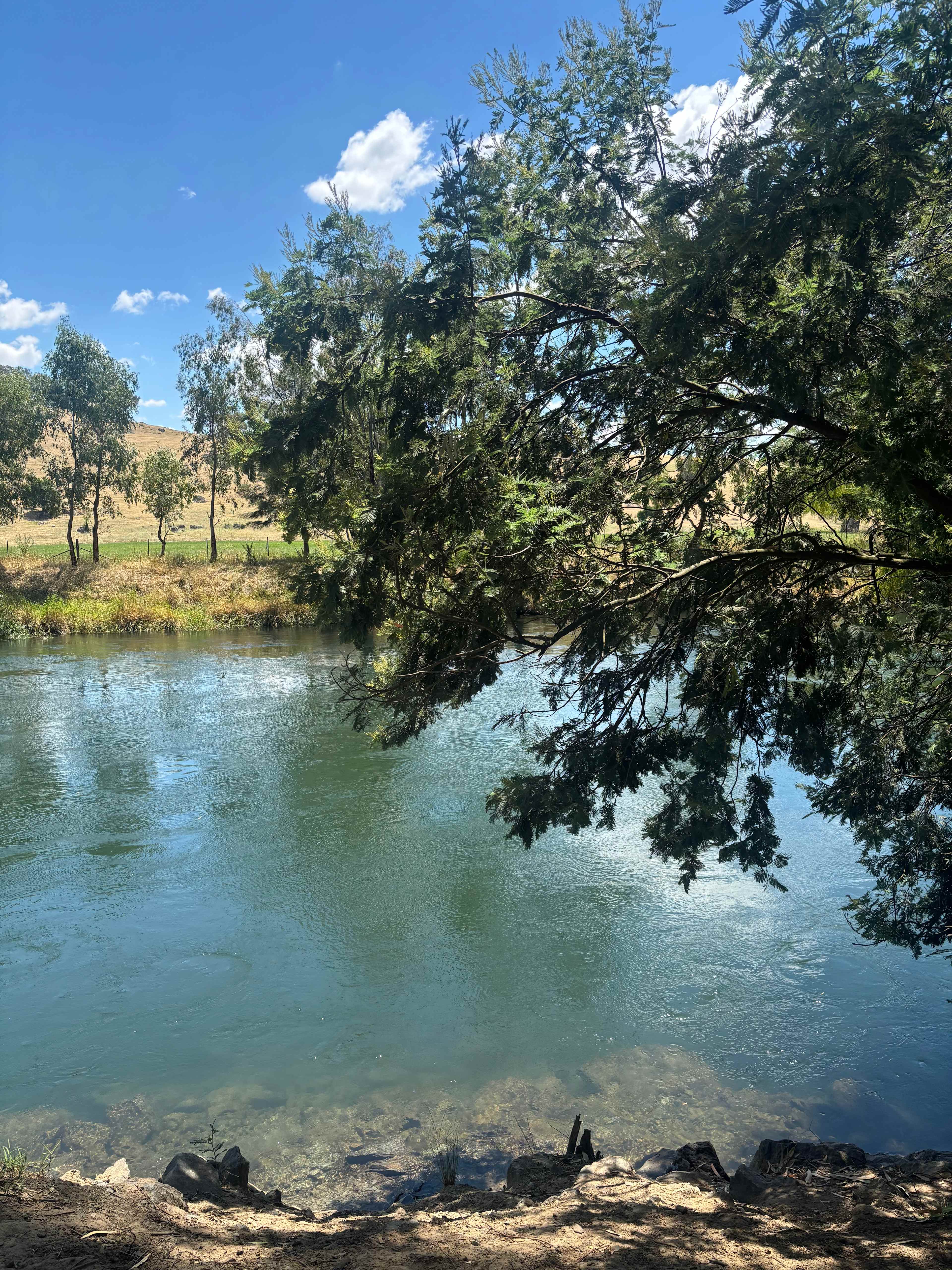 Bahwidgee on Tumut River