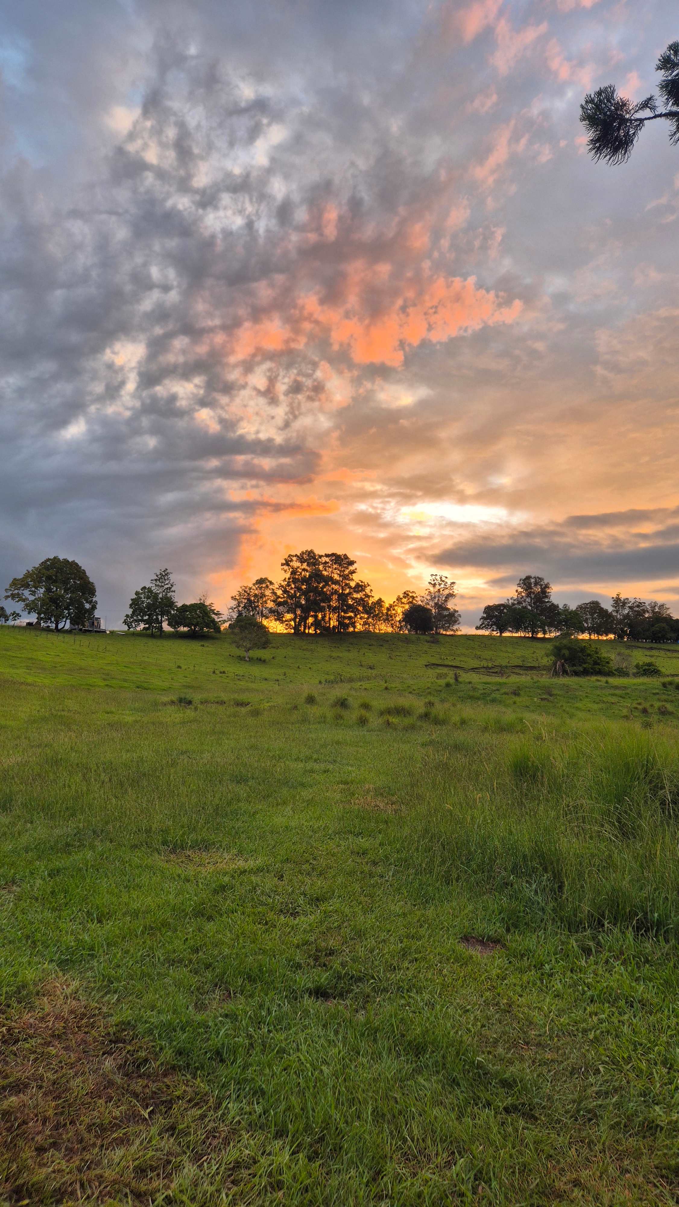 Night sky and view from campsite