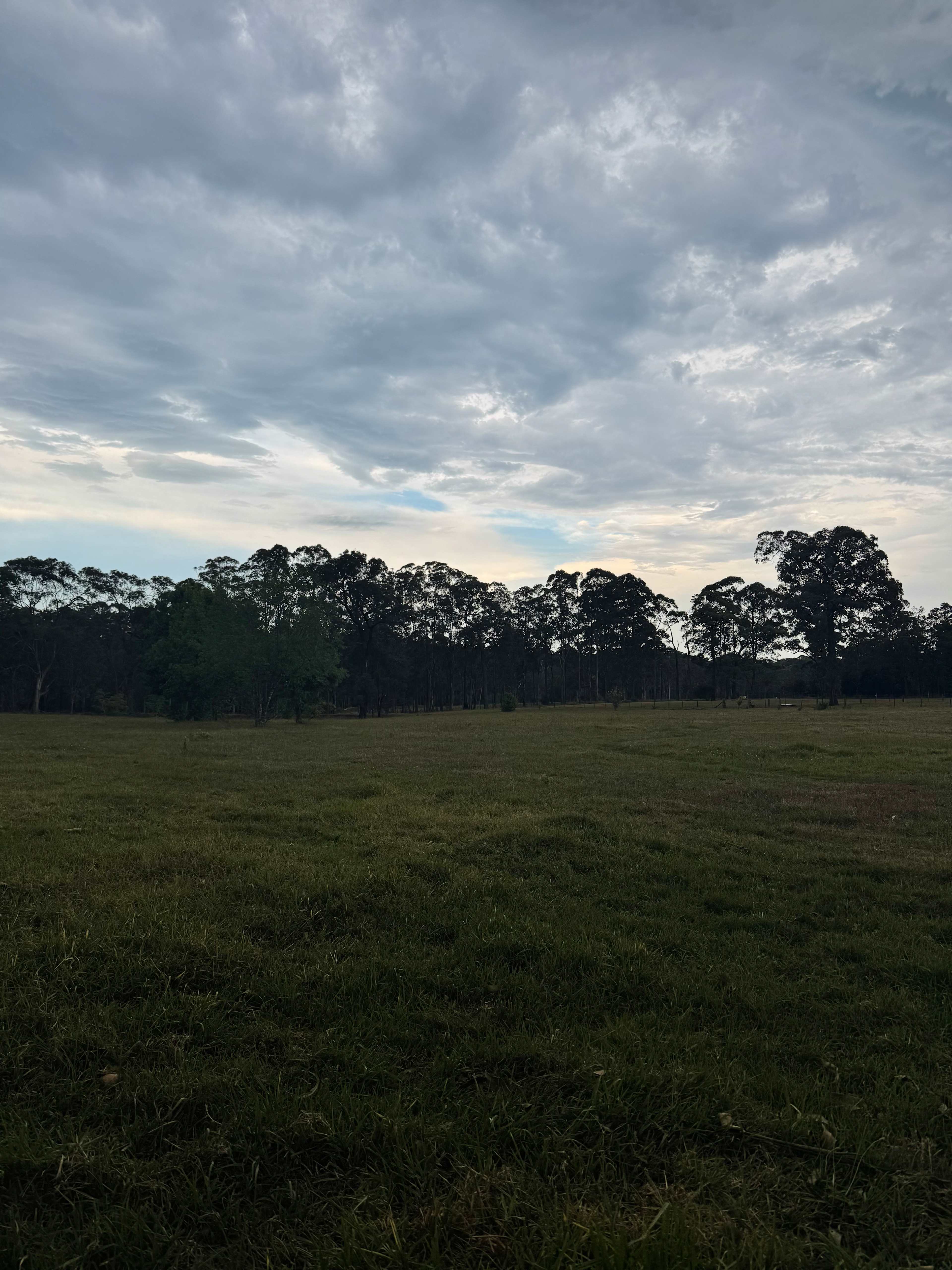 Melon Green at Oakdale