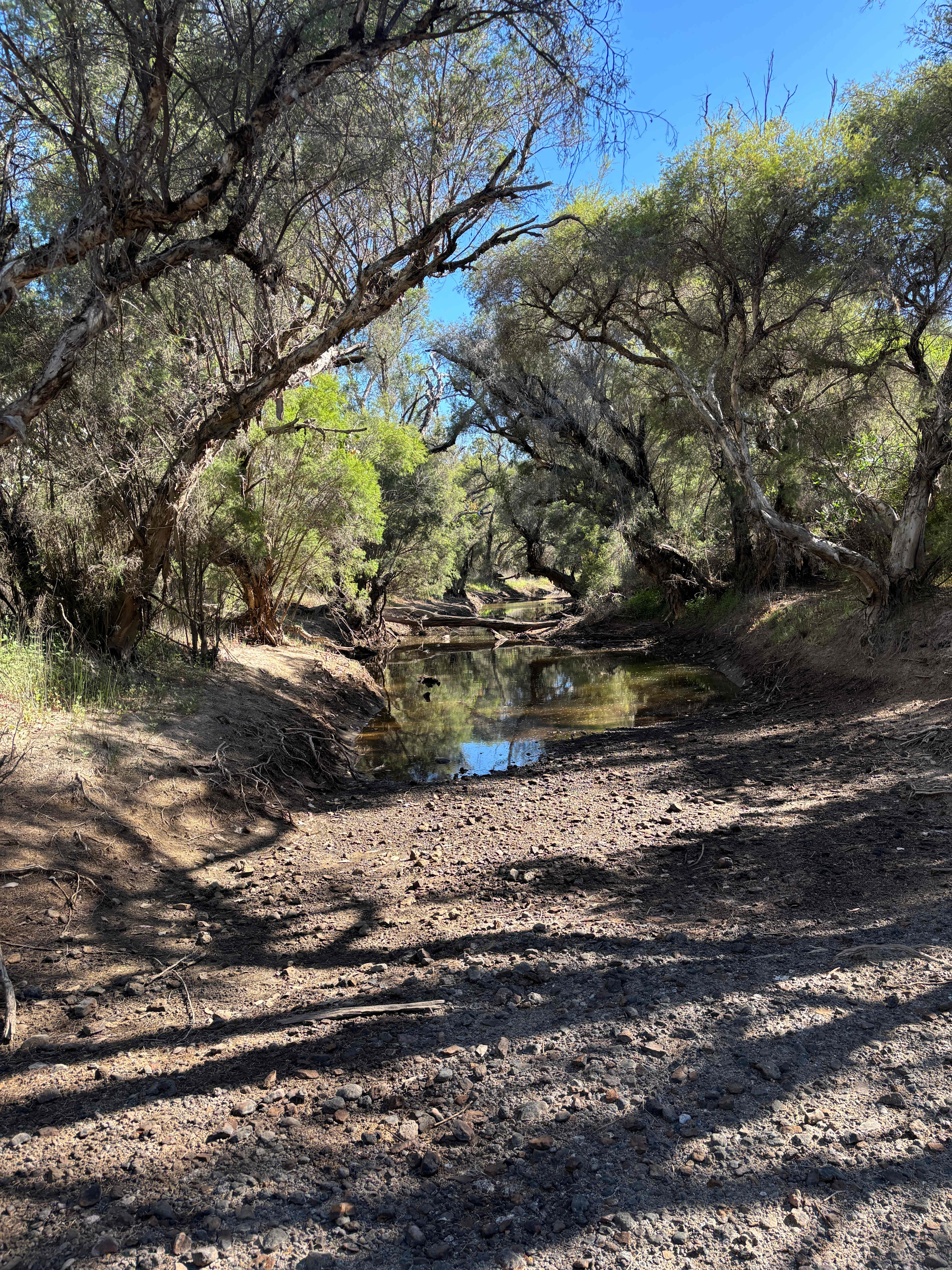 Murray Valley Camping