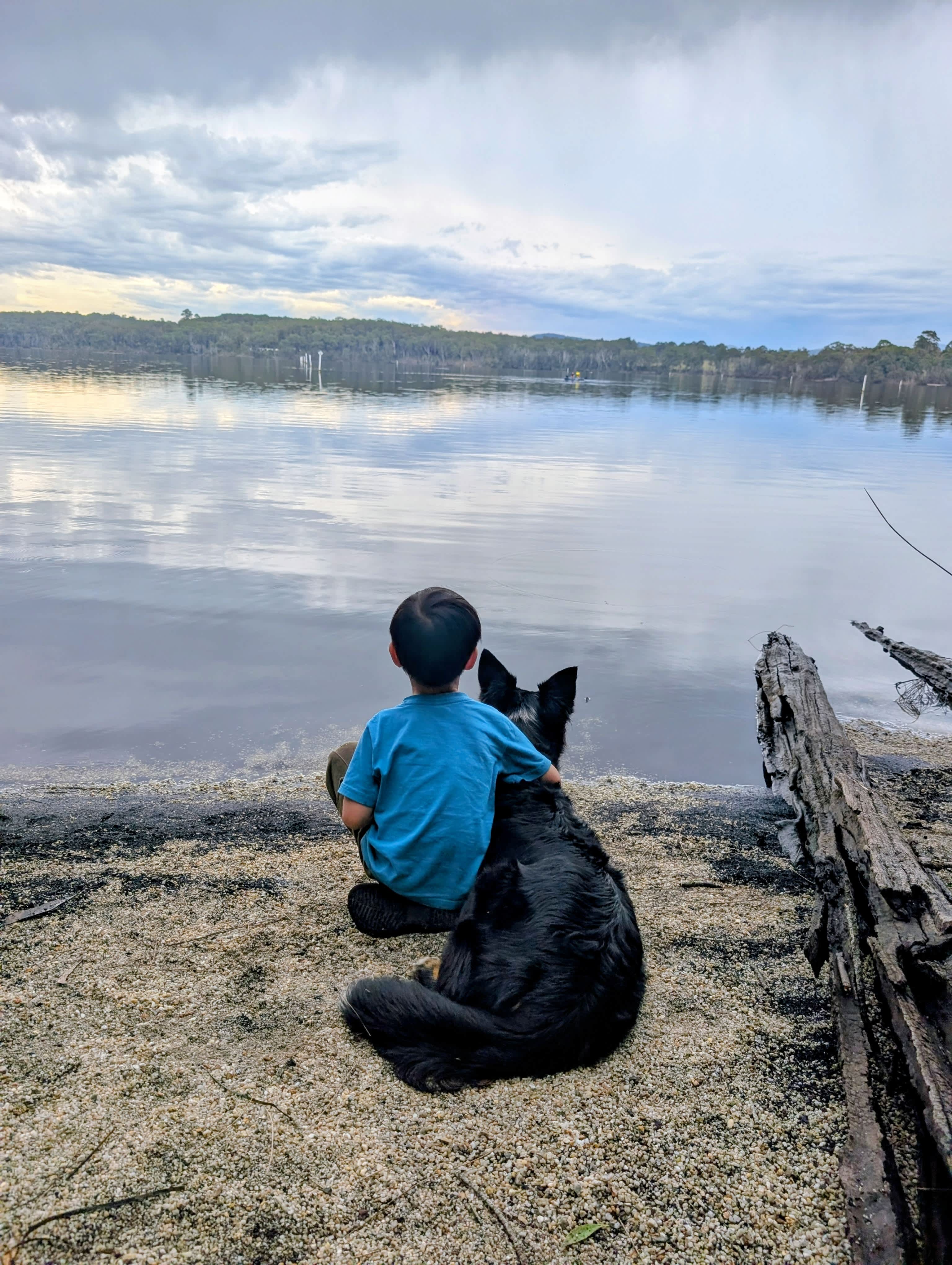 Cocoa keeping us company