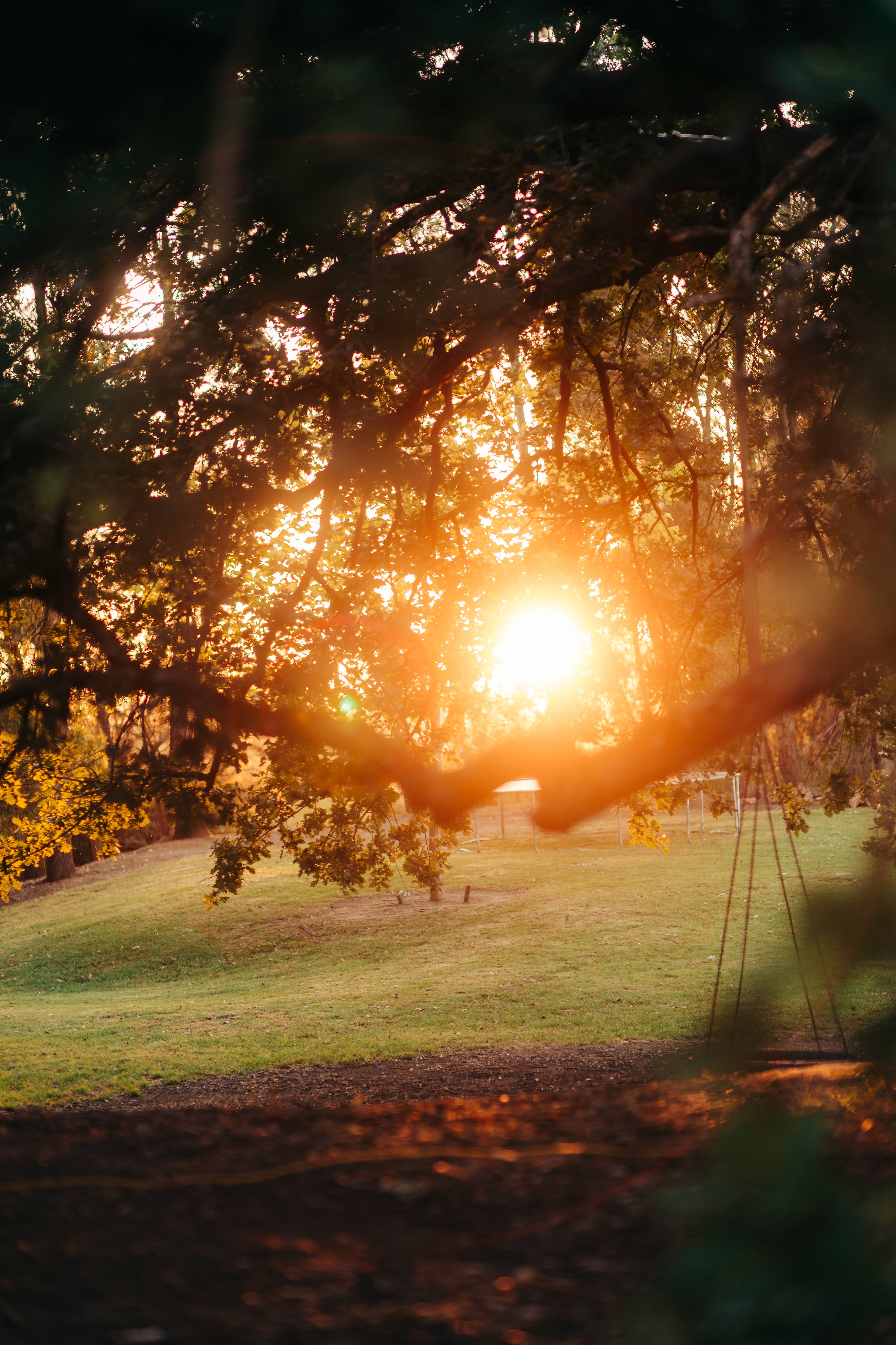 RiverOak Camping Heyfield - Gippsland Victoria