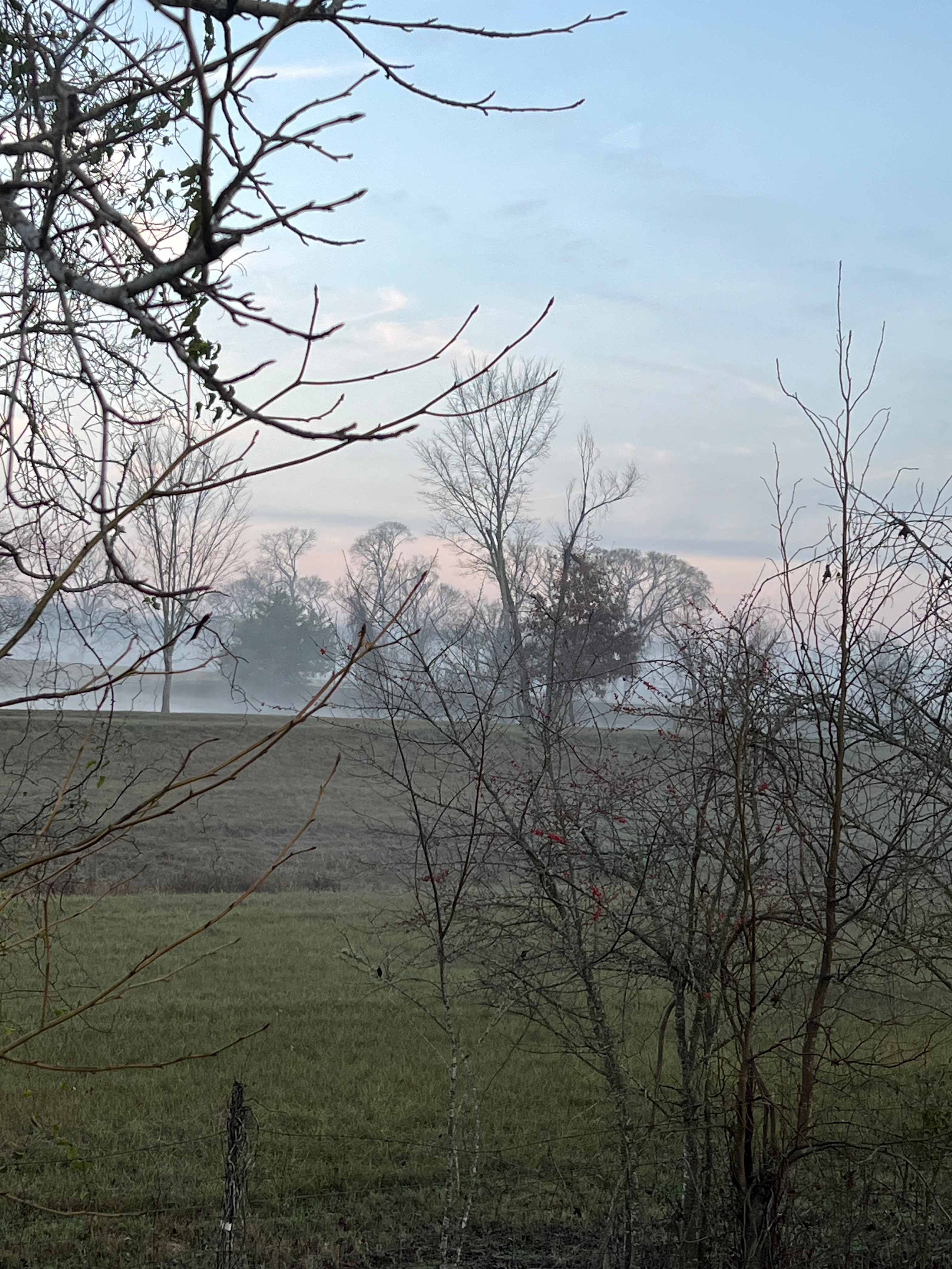 Renee's Galaxy RV Campground