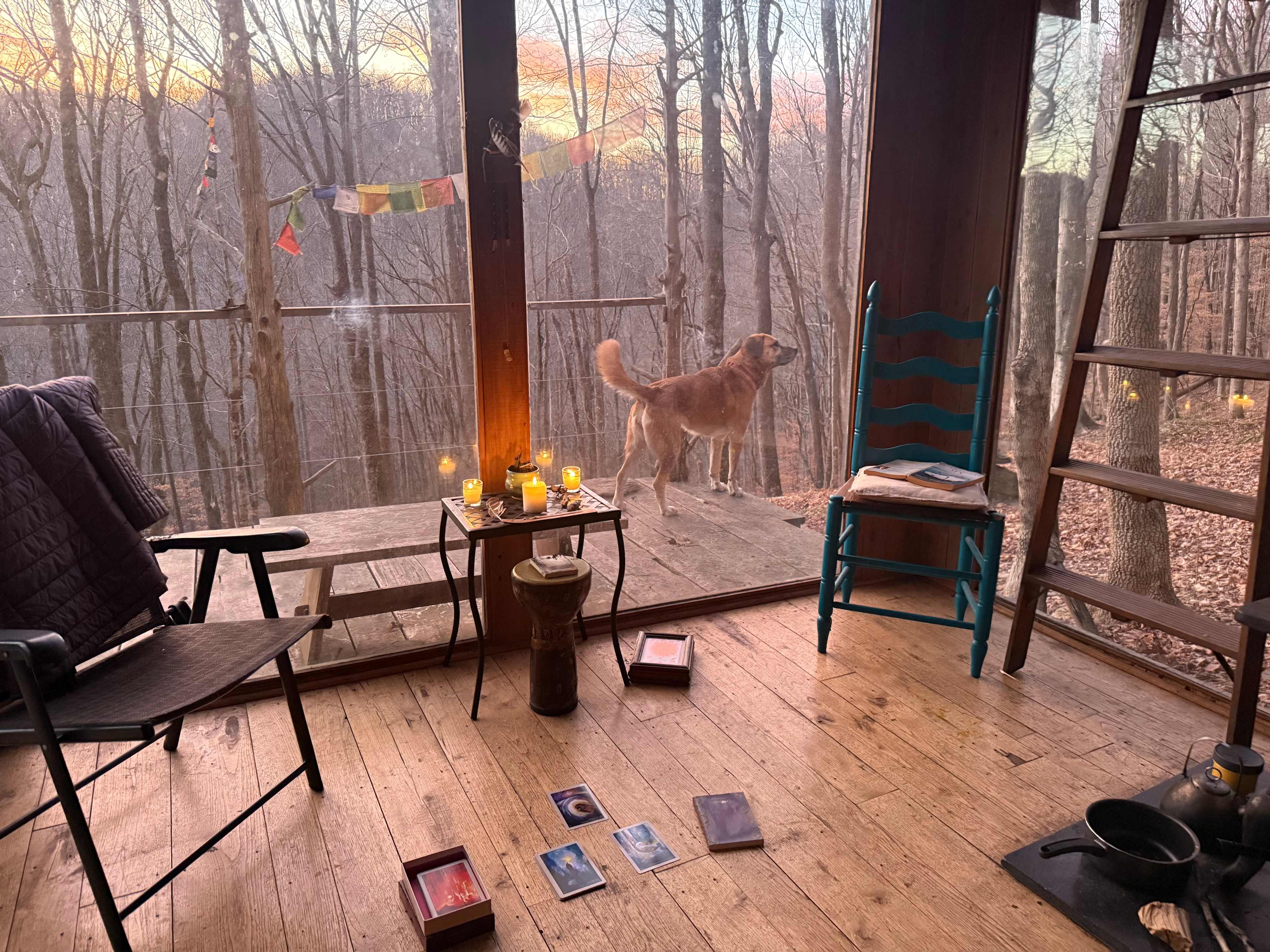 Beech Hollow Hideout