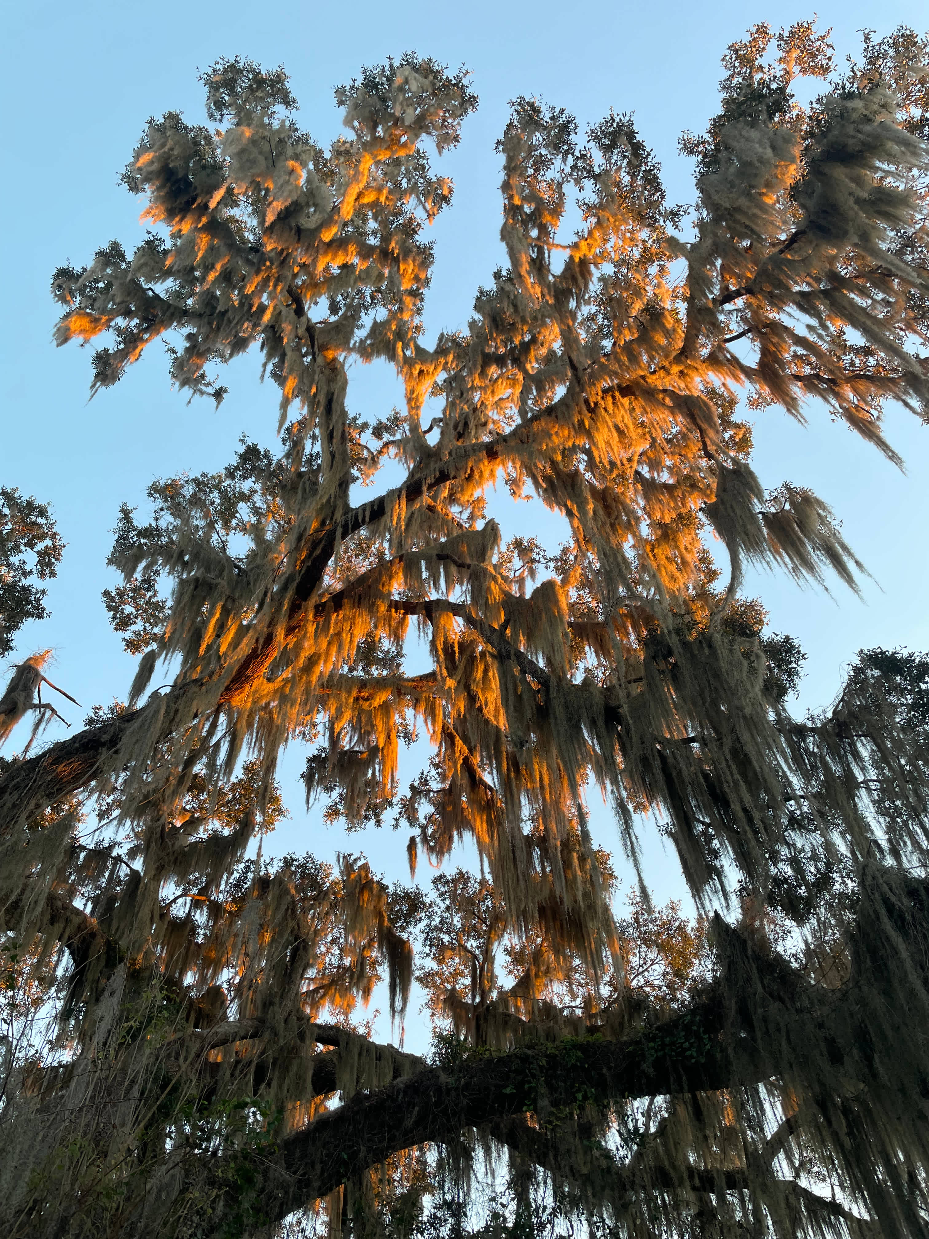 The FOLC Farm Campground